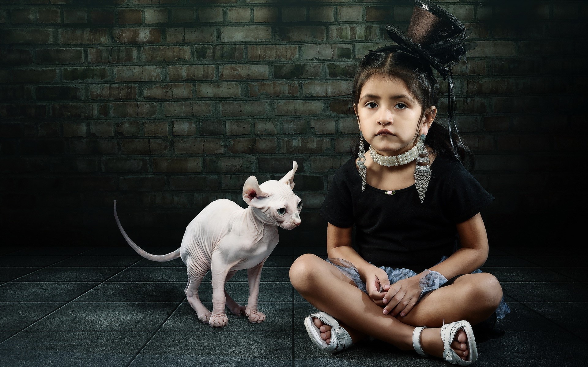 Girl with Sphynx cat and hat HD Wallpaper