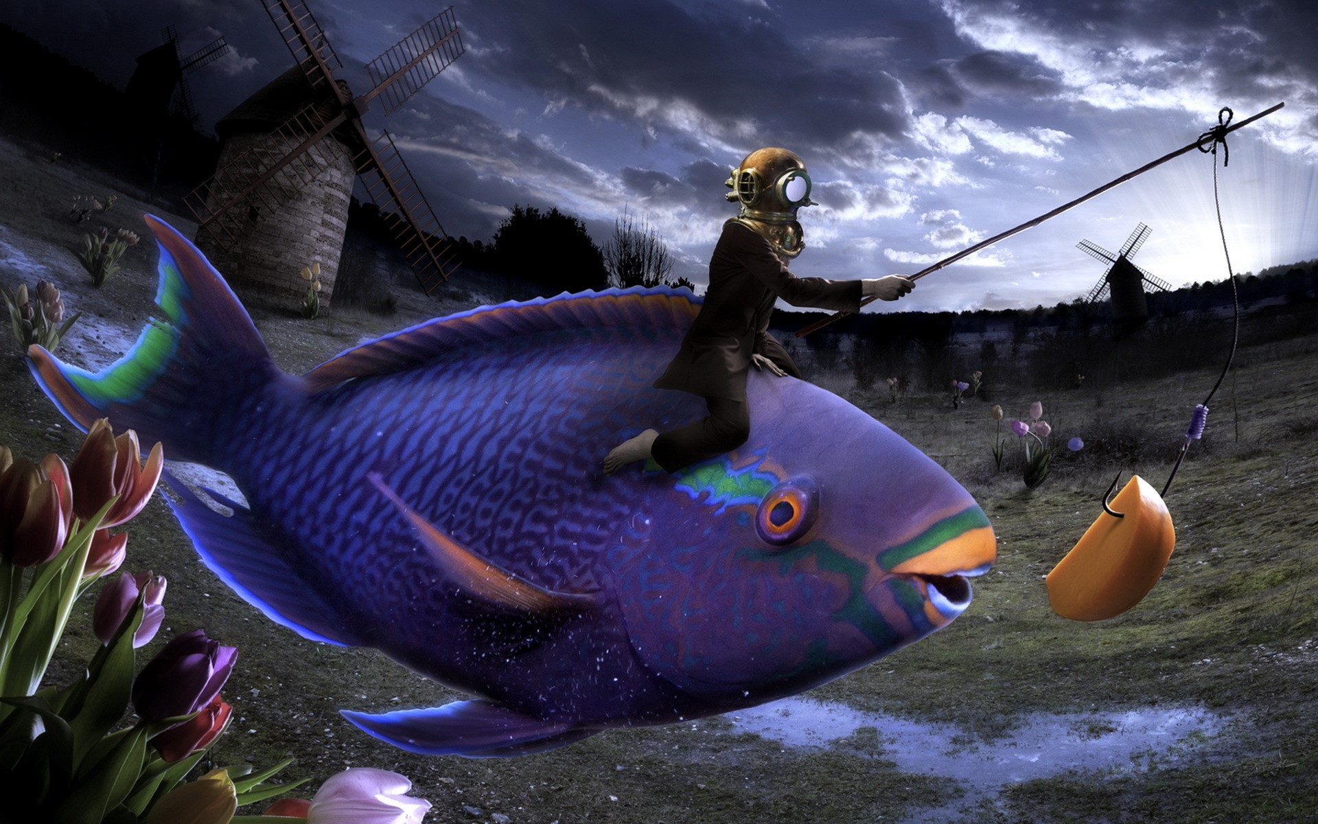 Diver riding a giant fish with a fishing rod HD Wallpaper