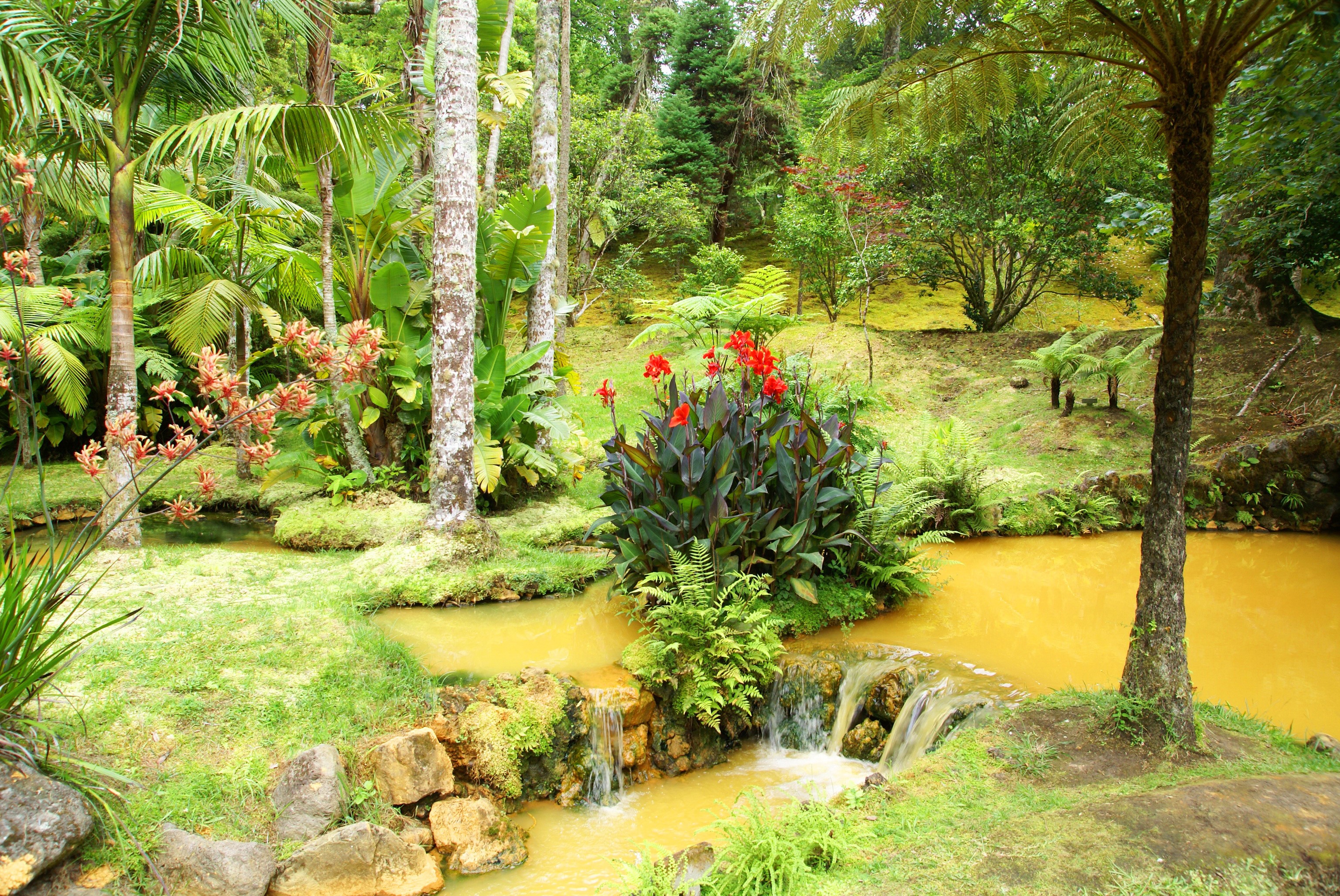 Terra Nostra Gardens with stream and red flowers HD Wallpaper