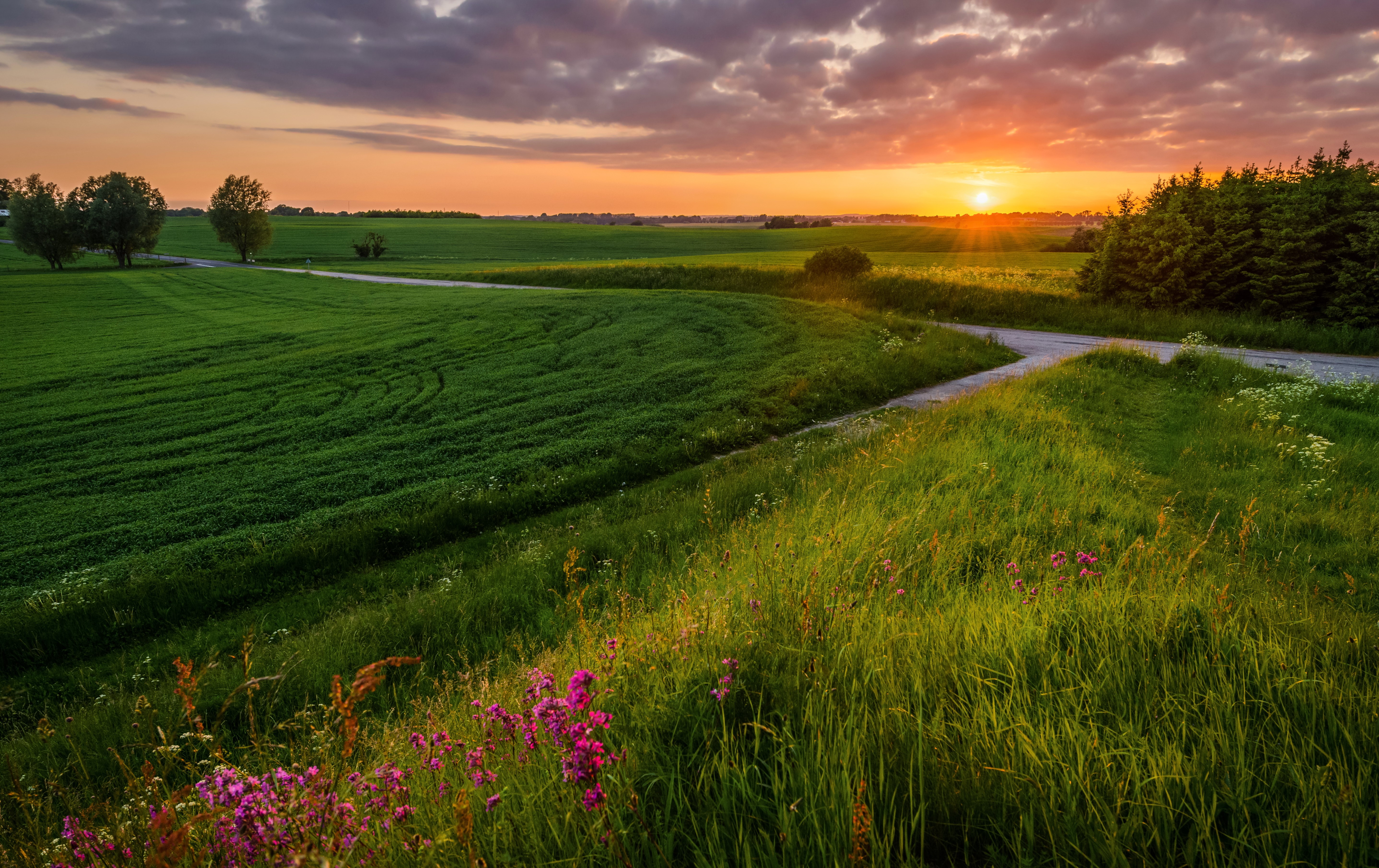 Sunset over green fields with a road HD Wallpaper