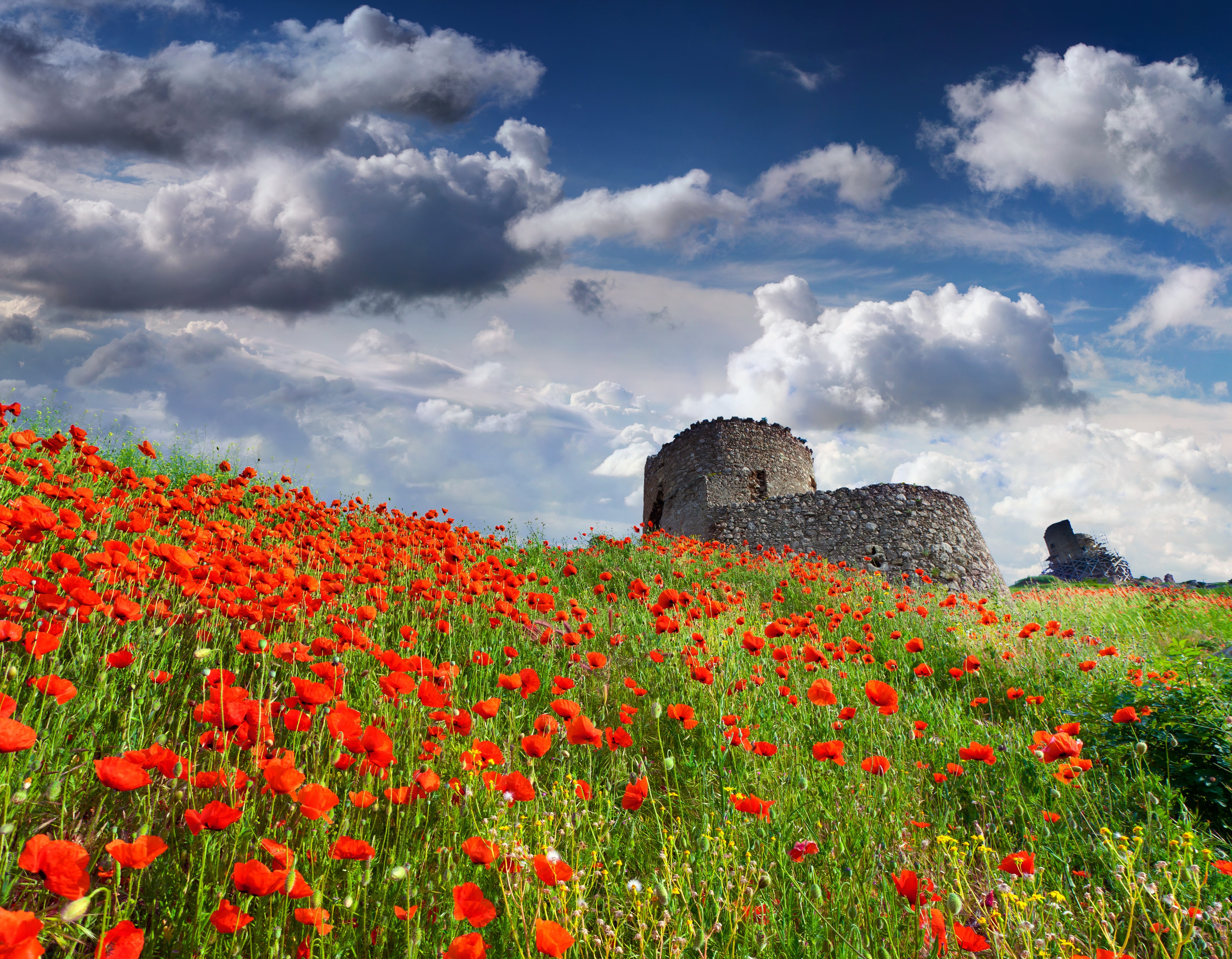 Field of Poppies with Ancient Ruins HD Wallpaper