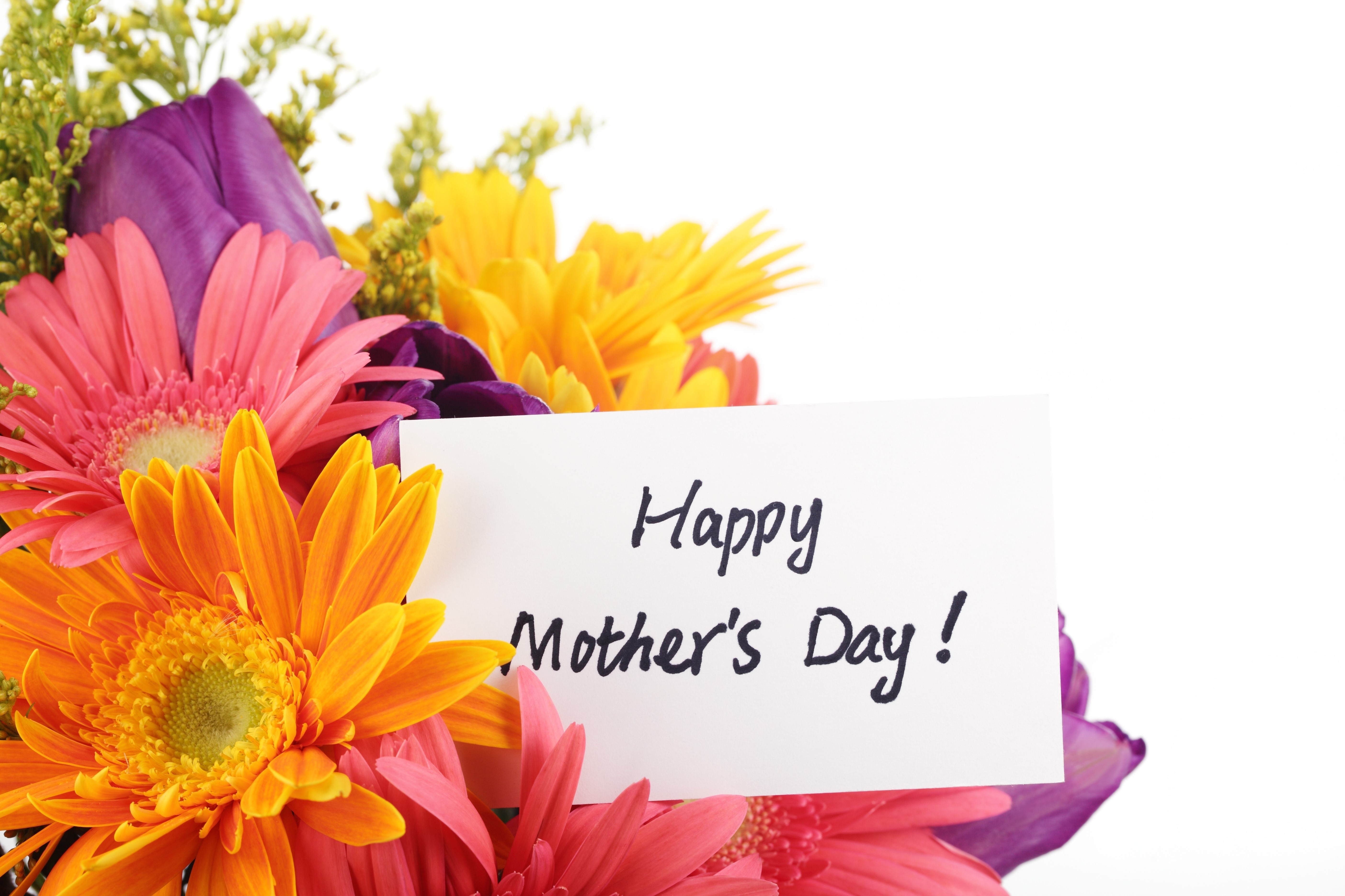 Happy Mother's Day flowers HD Wallpaper