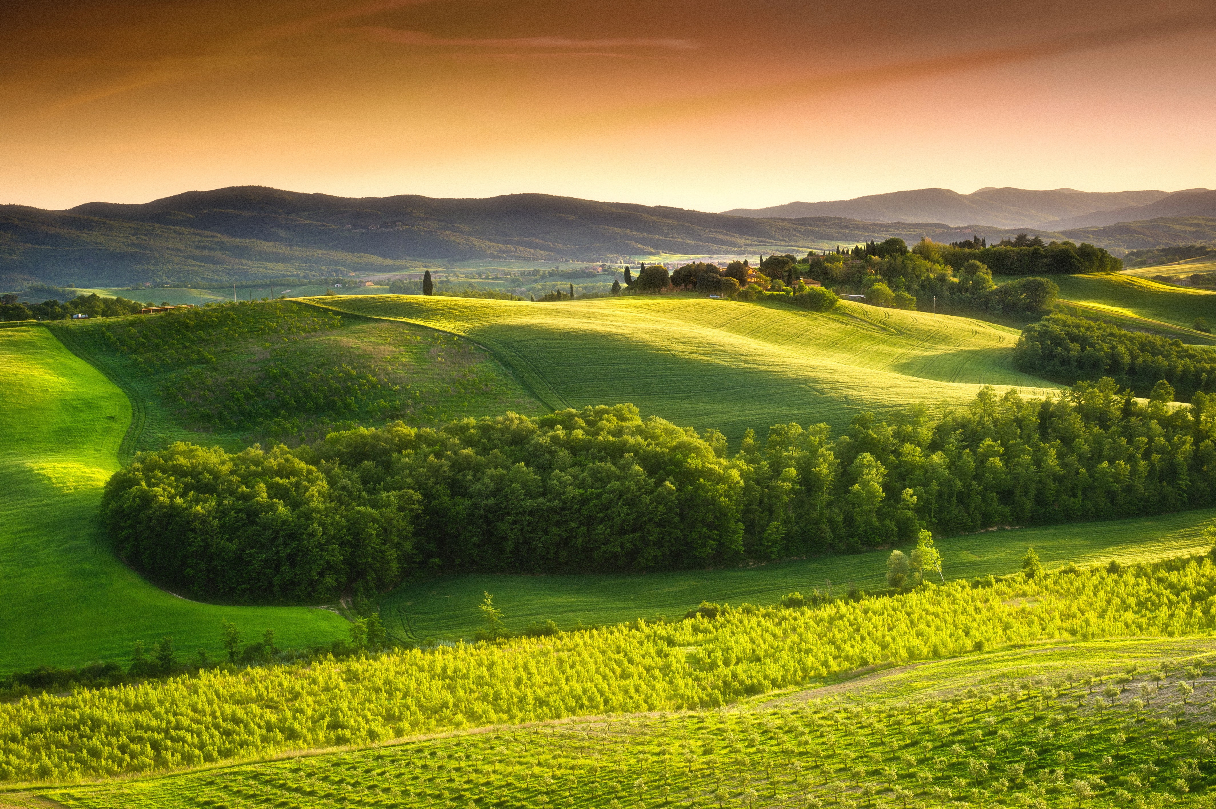 Tuscany Fields in Italy HD Wallpaper