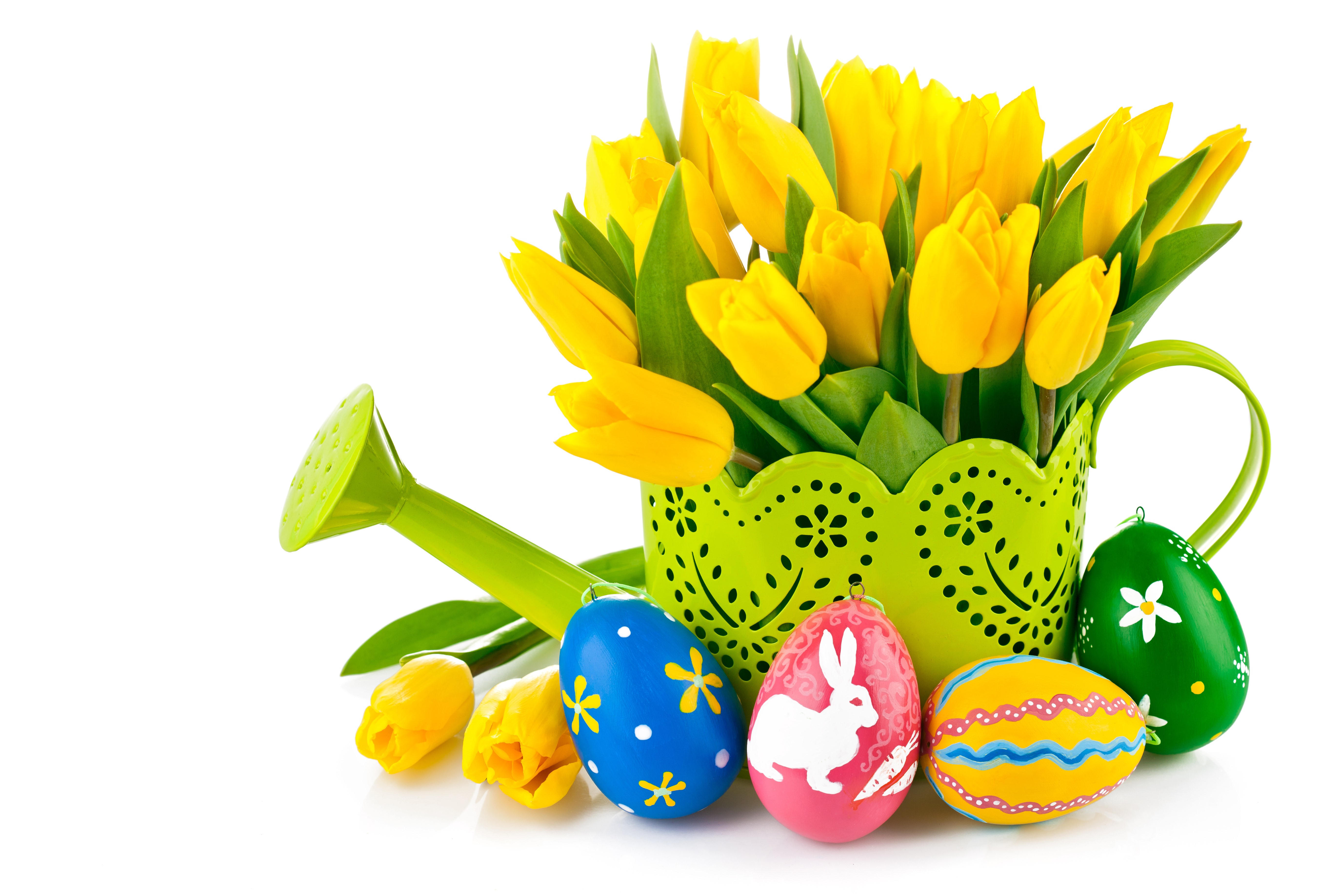 Easter Tulips and Decorated Eggs with Watering Can HD Wallpaper