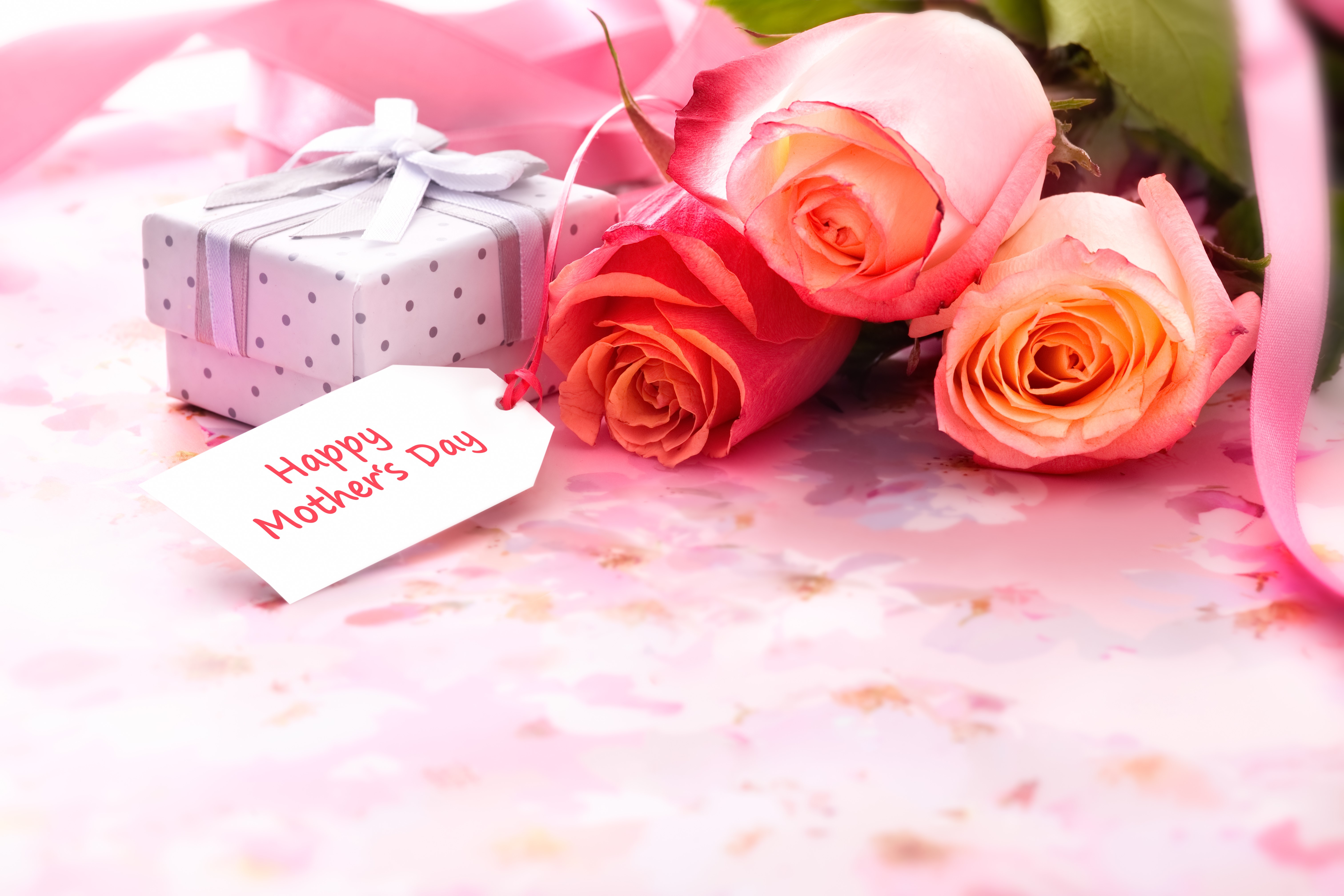 Roses and Gift for Mother's Day HD Wallpaper