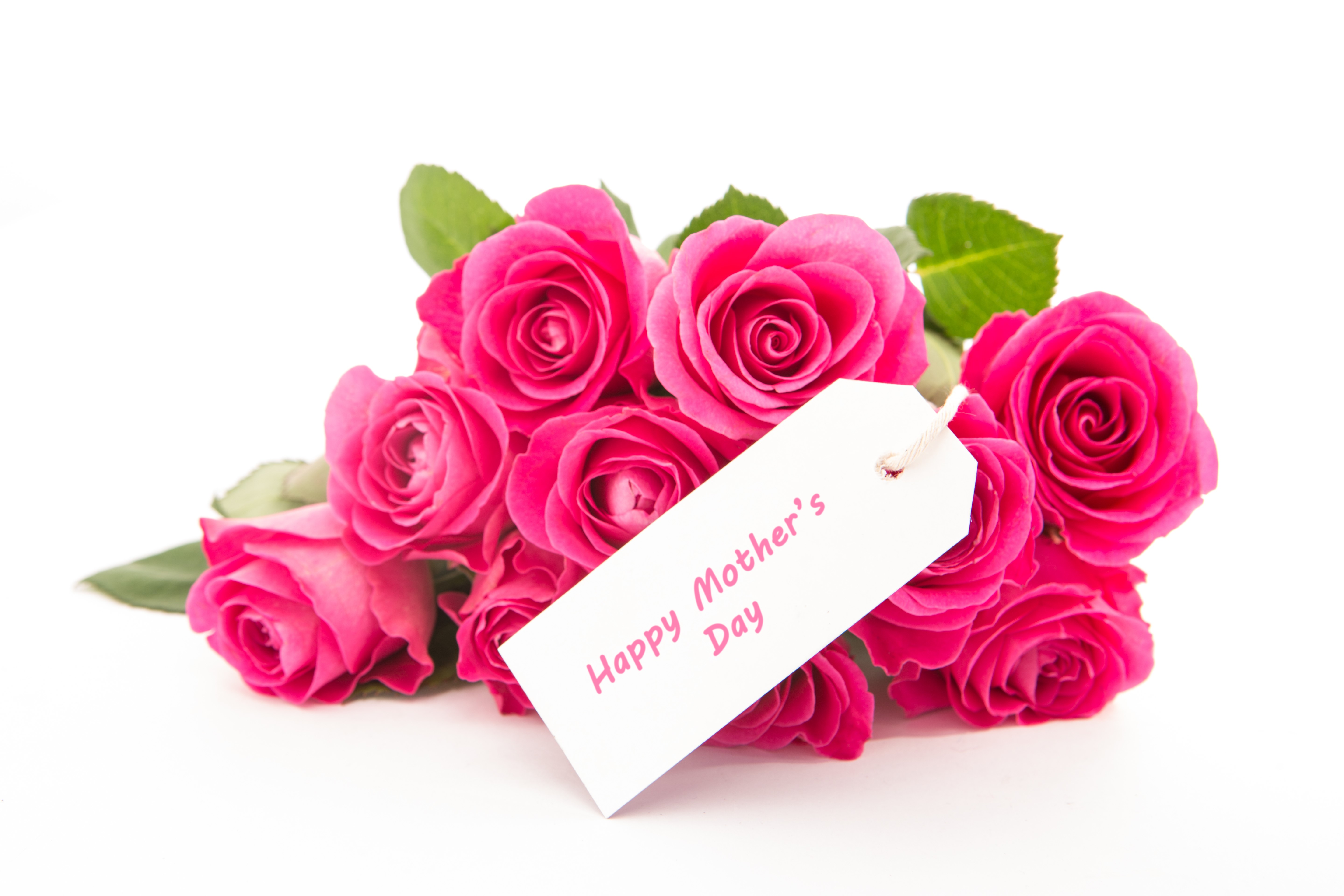 Pink Roses with Mother's Day Tag HD Wallpaper