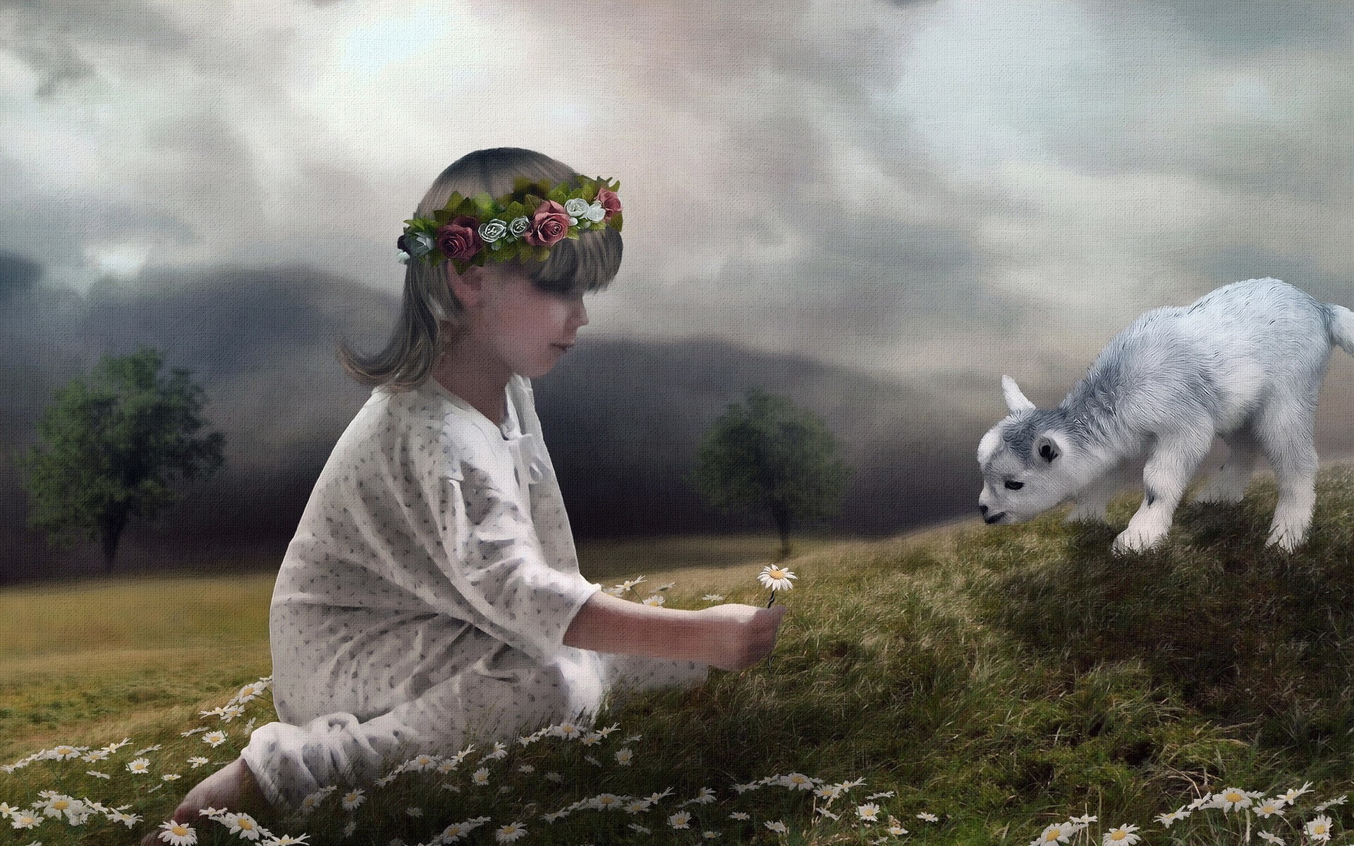 Girl with flower crown and goat in field HD Wallpaper