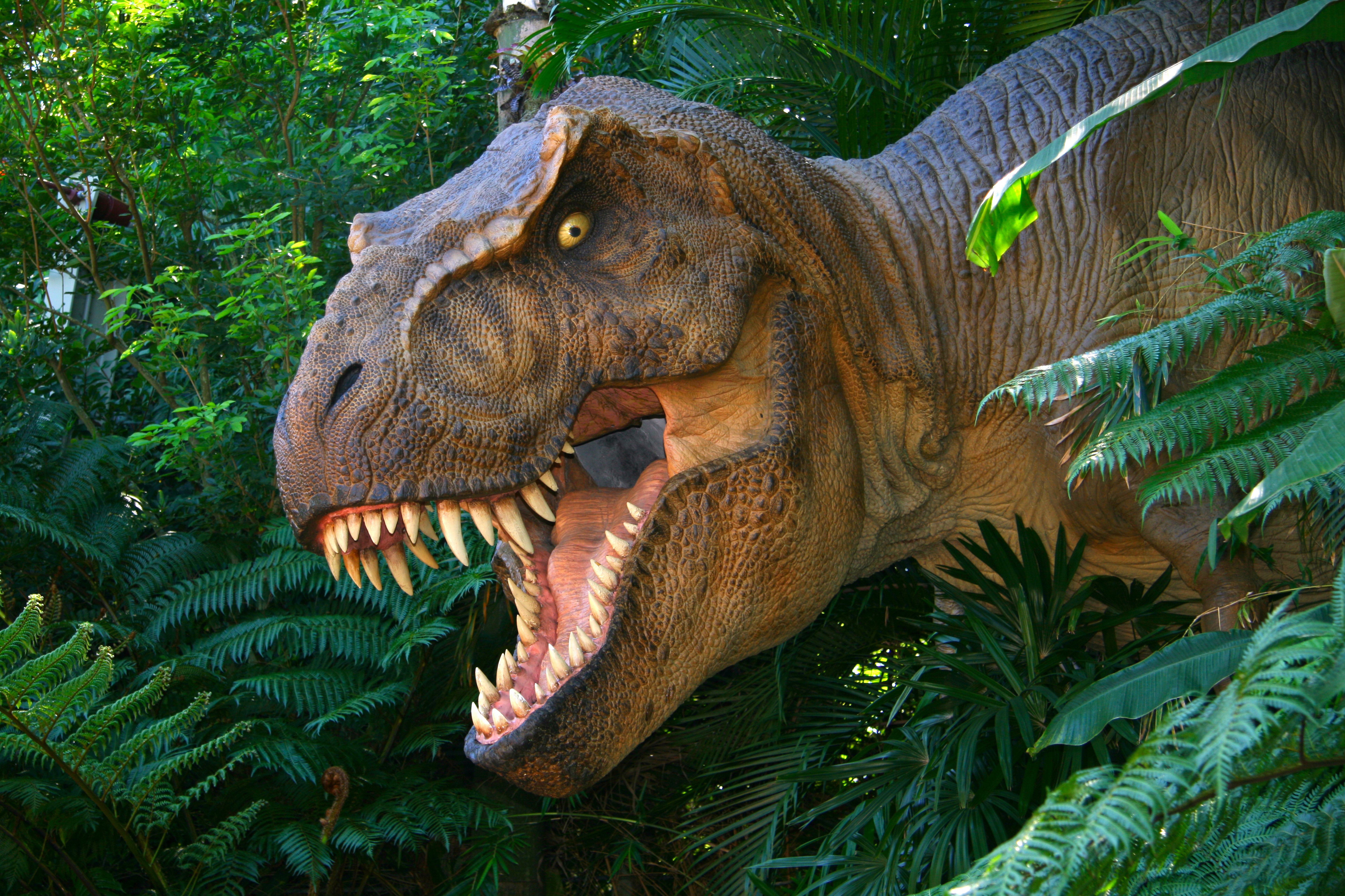 Tyrannosaurus Rex Dinosaur in Jungle HD Wallpaper