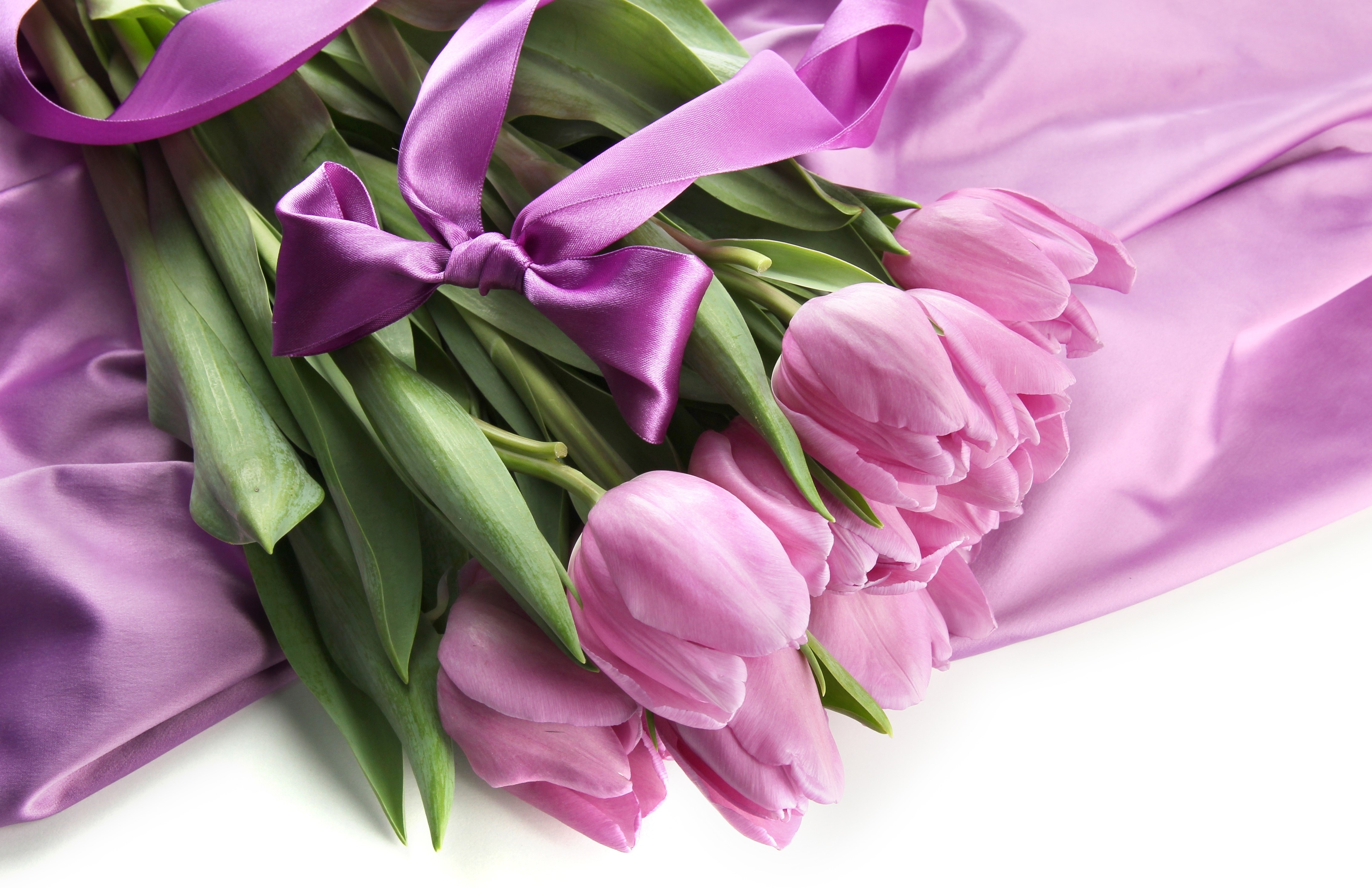 Pink Tulips with Purple Ribbon and Fabric HD Wallpaper