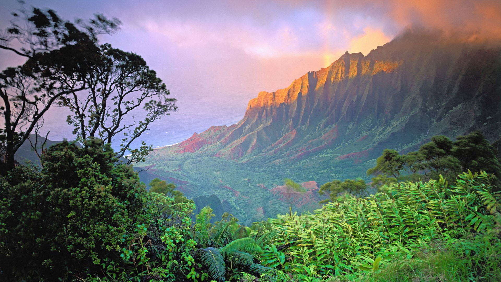 Mountain range at sunrise with trees in foreground HD Wallpaper