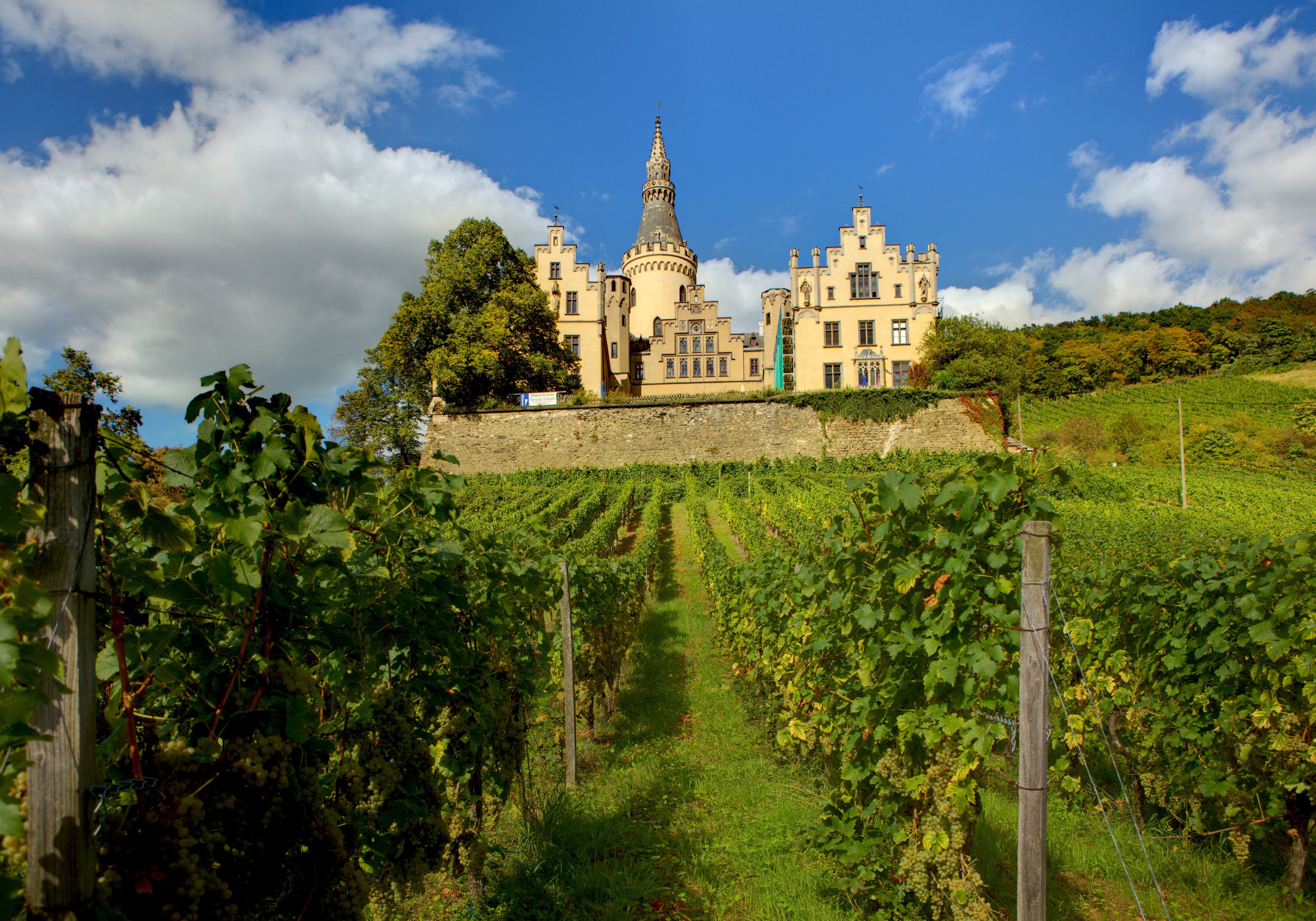 Schloss Arenfels Castle and Vineyard in Germany HD Wallpaper