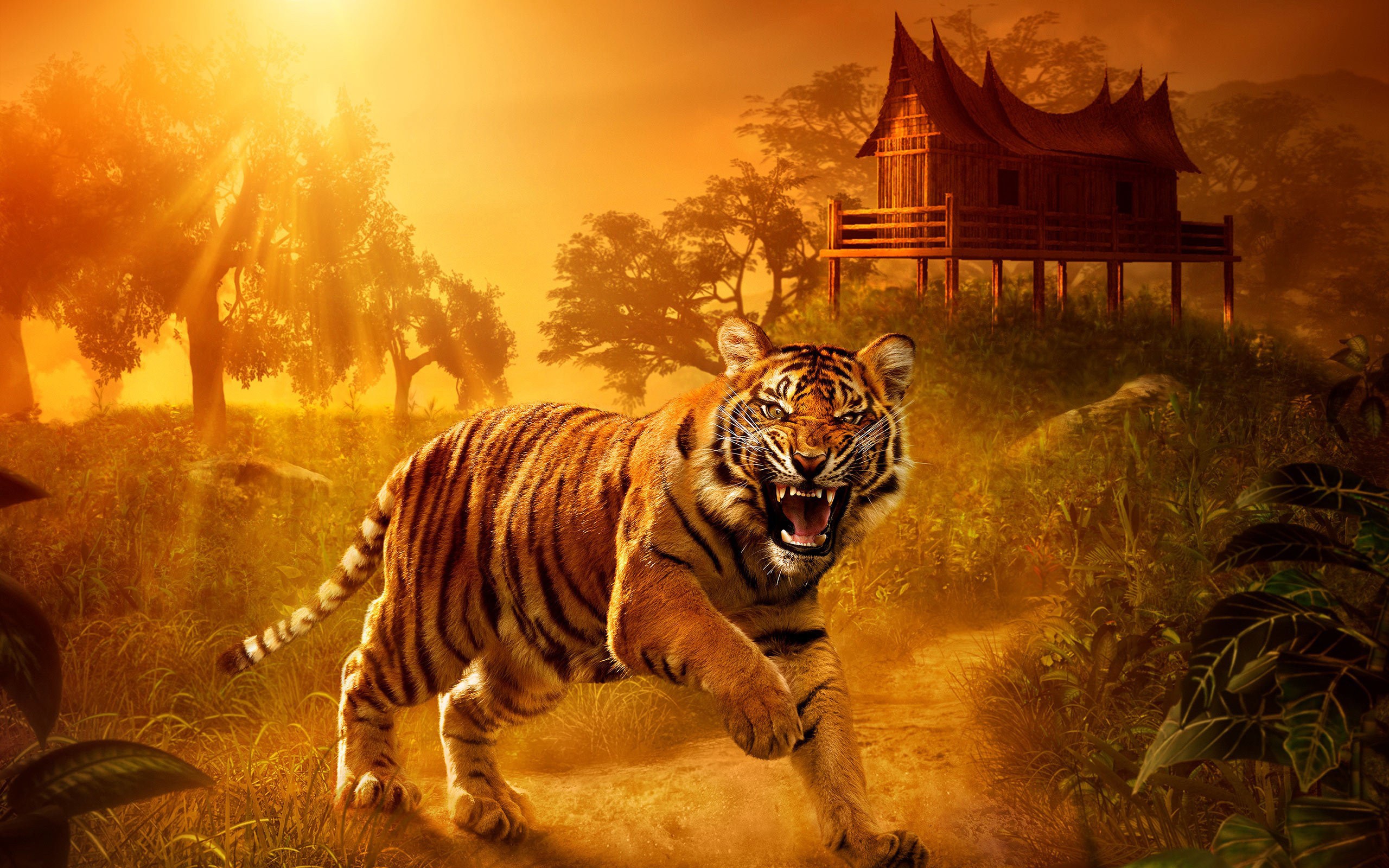 Tiger roaring in a jungle with a traditional house HD Wallpaper