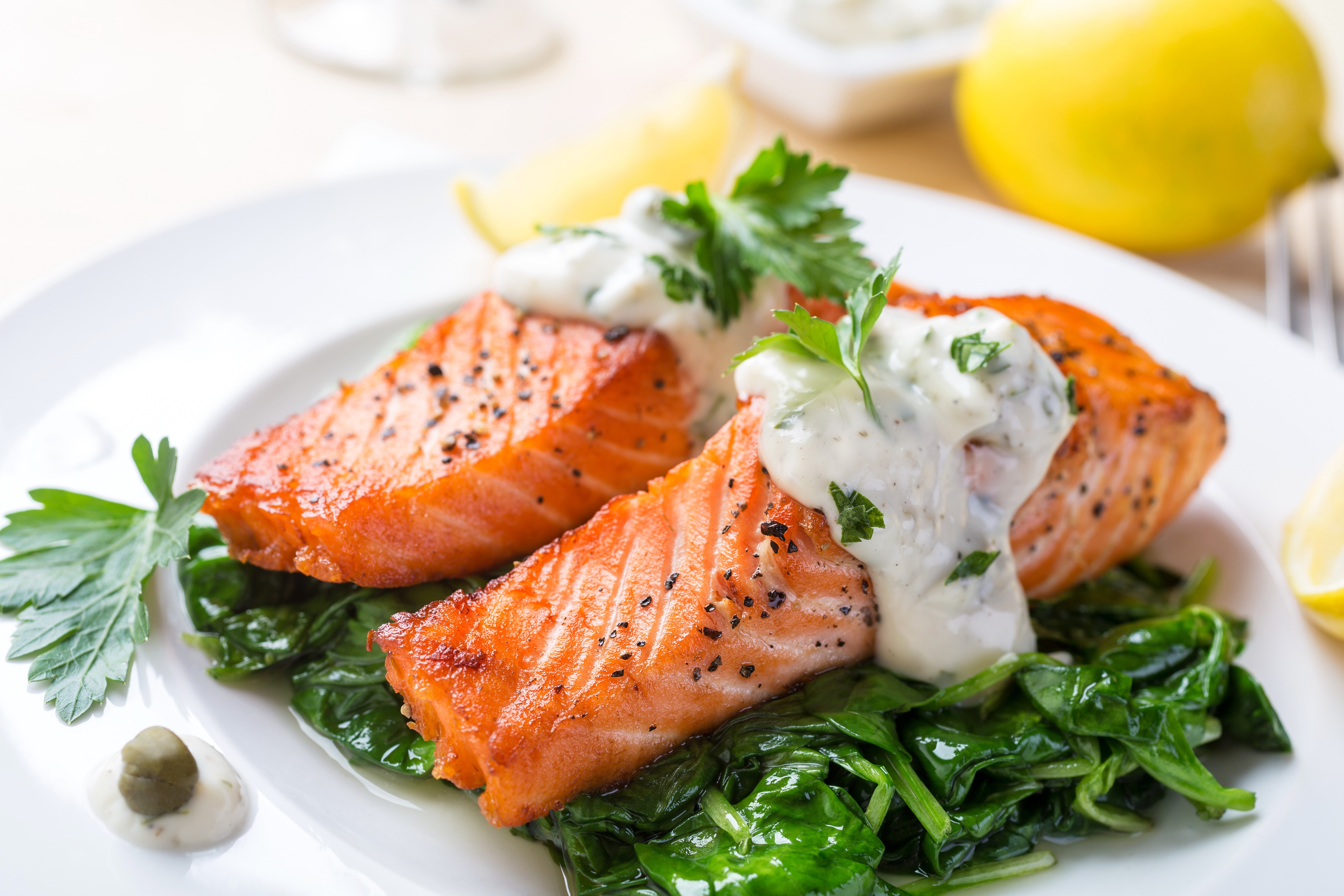 Salmon with spinach and sauce HD Wallpaper