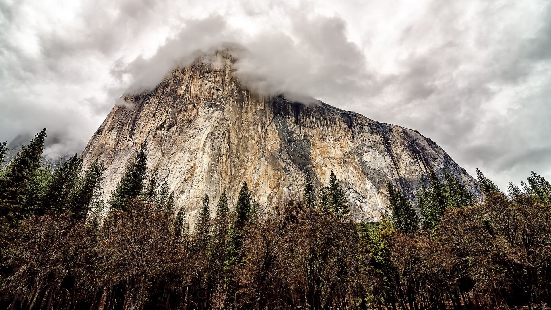 El Capitan Yosemite National Park cloudy day HD Wallpaper
