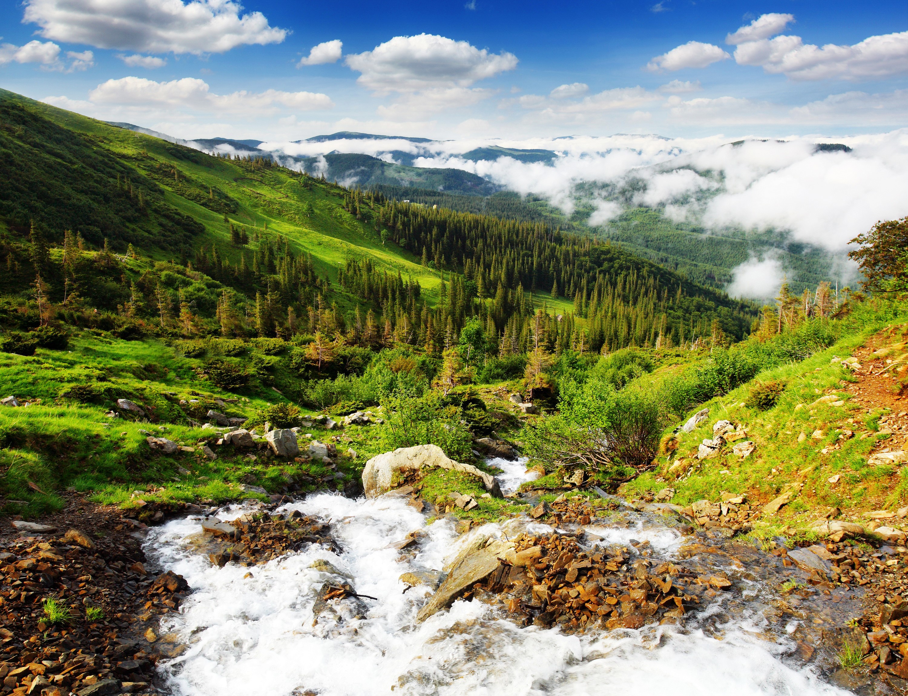 Mountainous landscape with a stream and forest HD Wallpaper