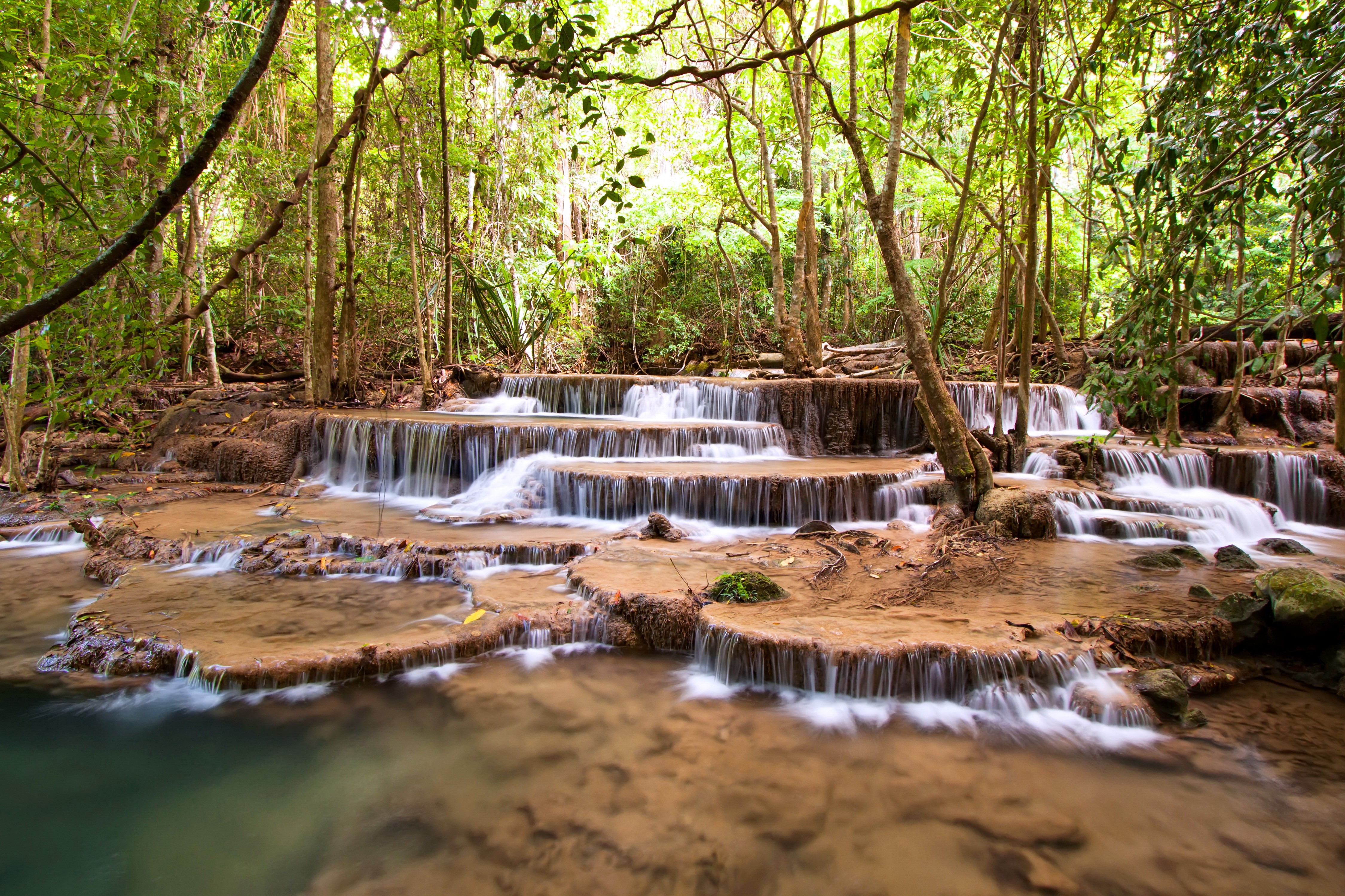 4K Waterfalls in a Lush Forest HD Wallpaper
