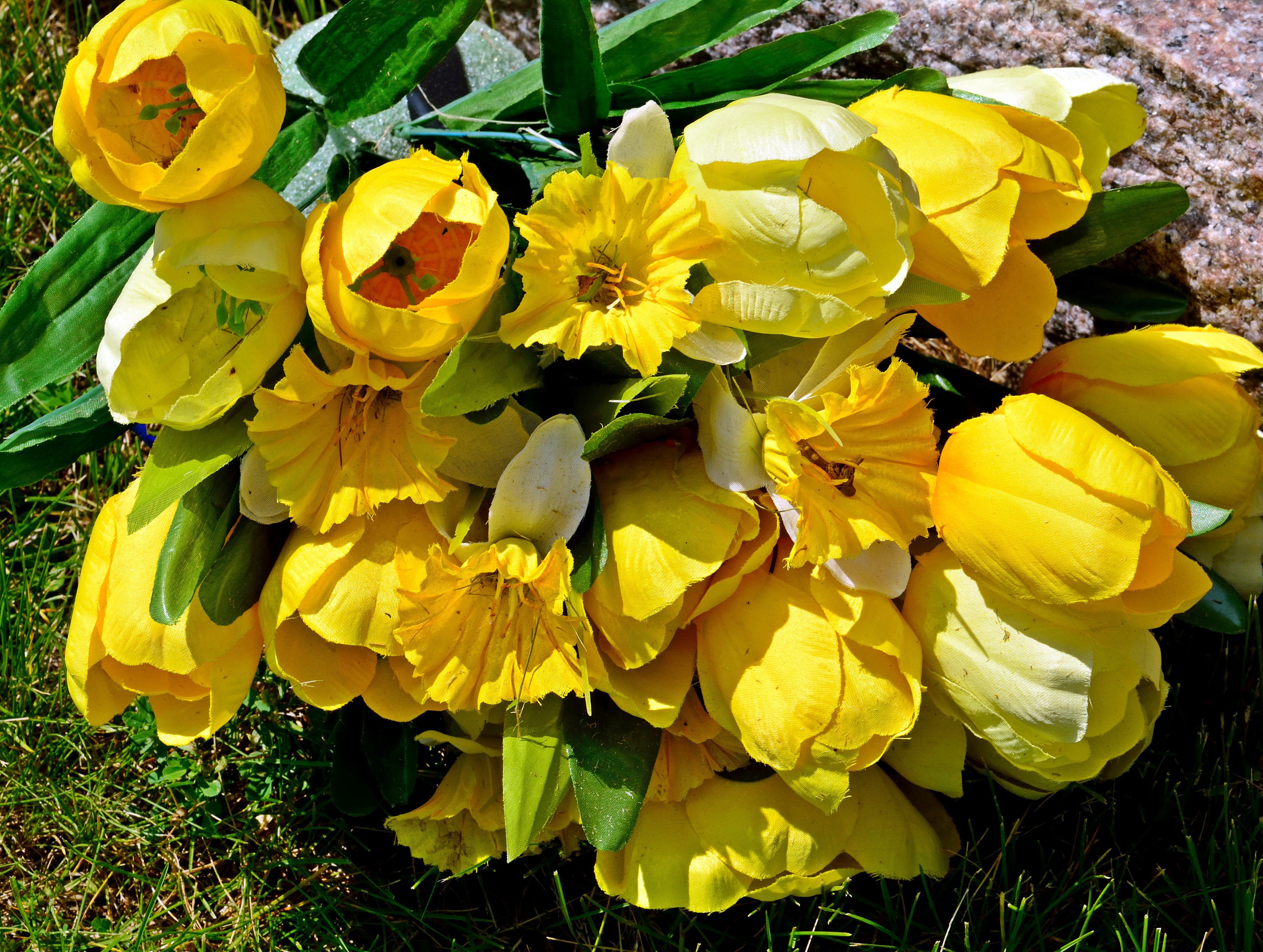 Bouquet of yellow tulips and daffodils HD Wallpaper