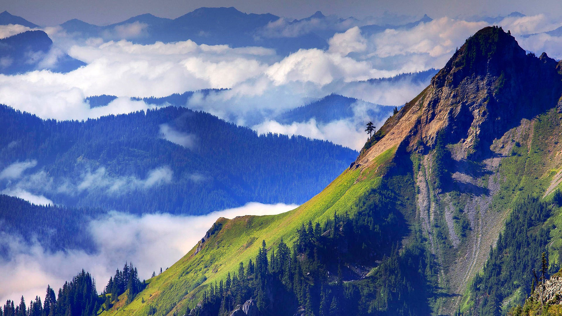 Mountain range with clouds and trees HD Wallpaper