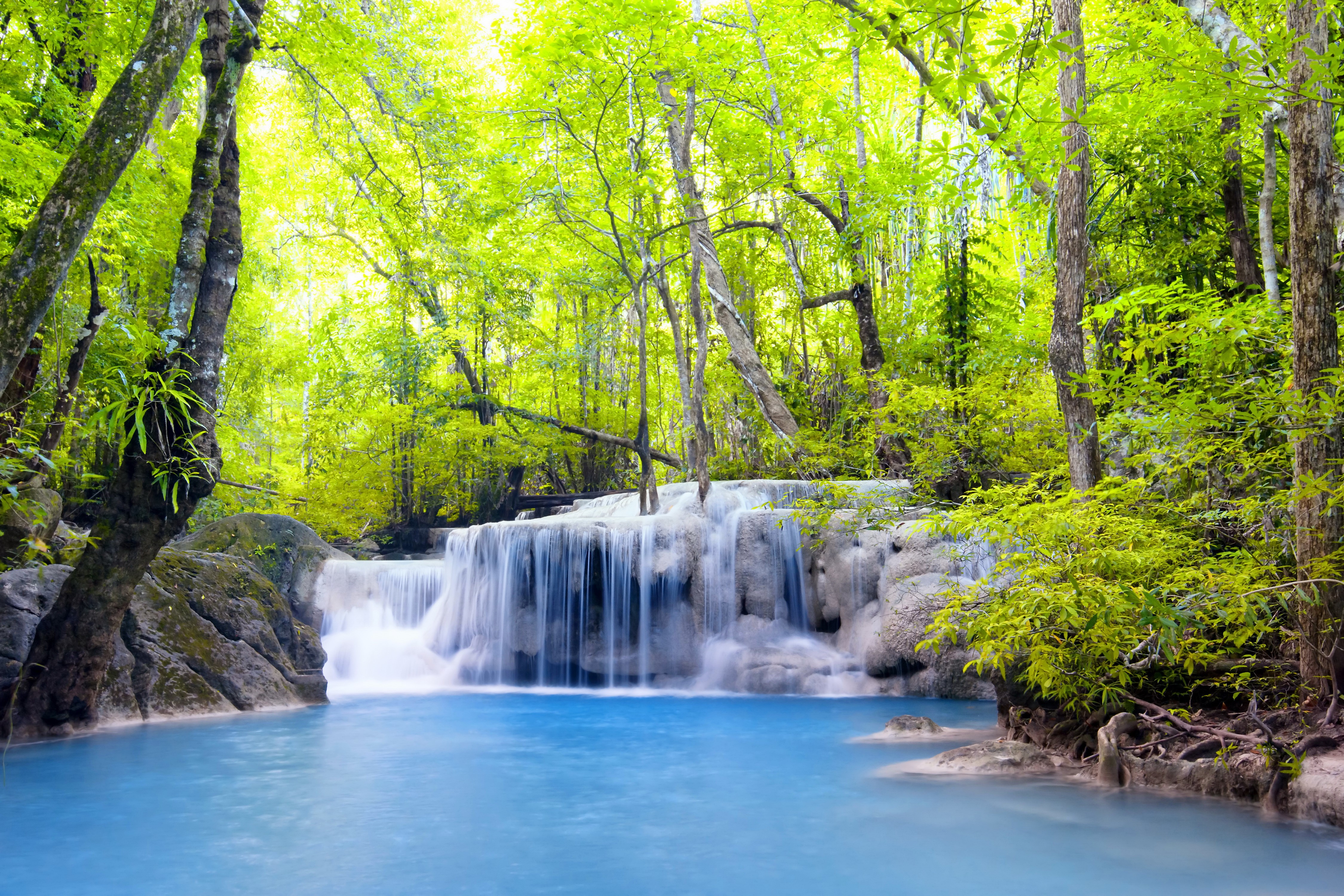 4K Waterfall in a Lush Forest HD Wallpaper
