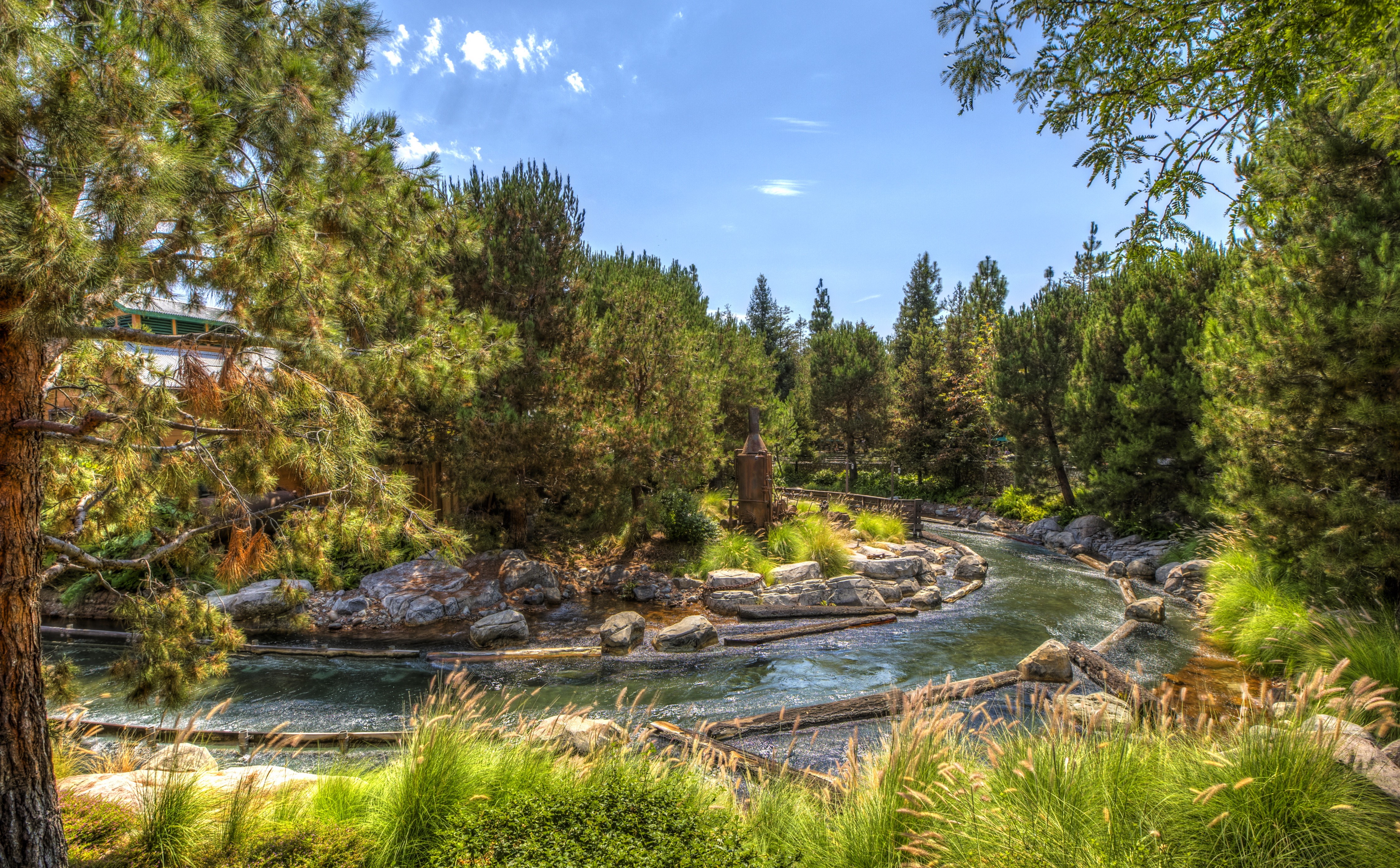 Stream in a forest at Disneyland, California HD Wallpaper