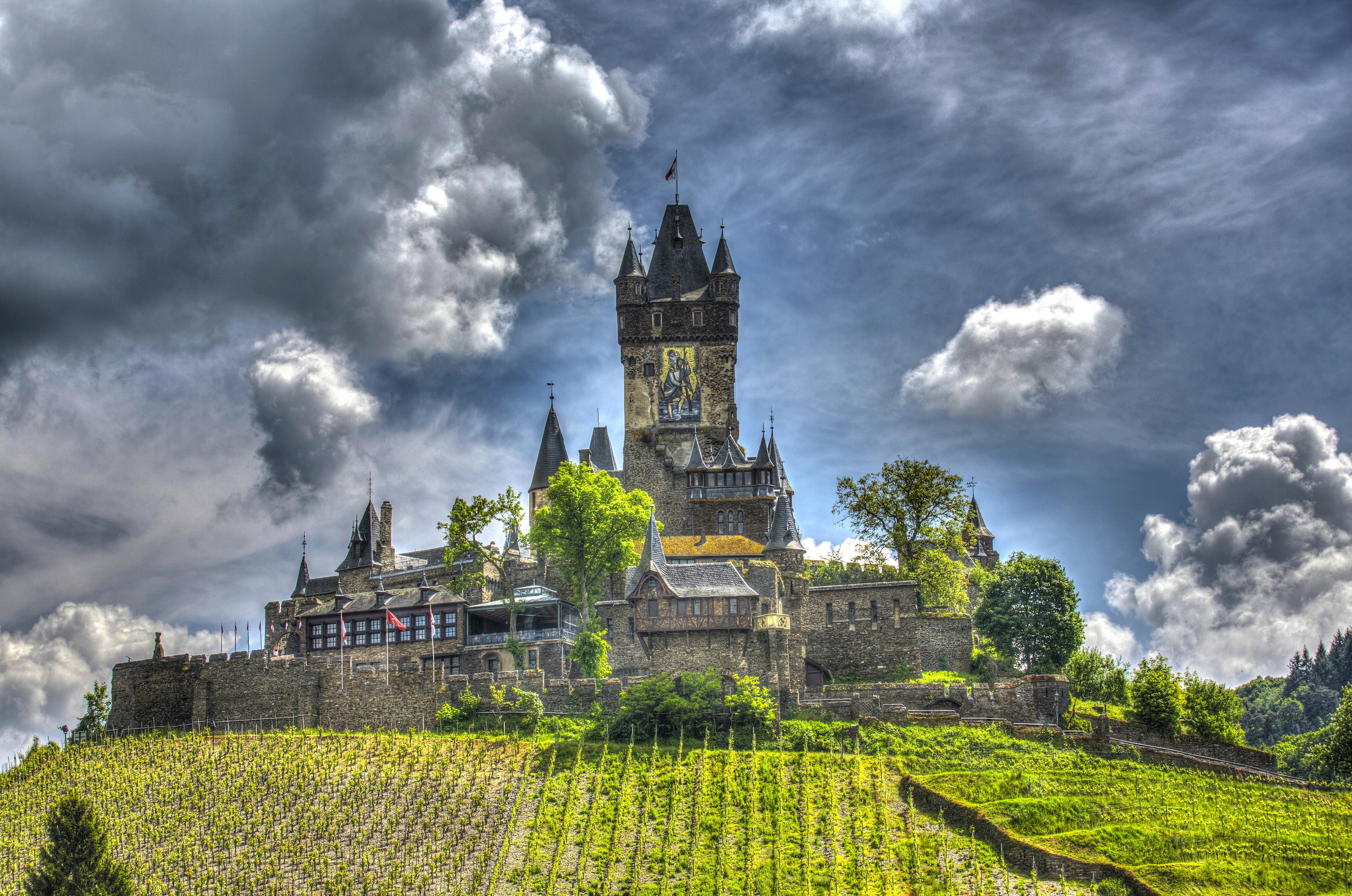 Castle on a hill with vineyards and cloudy sky HD Wallpaper