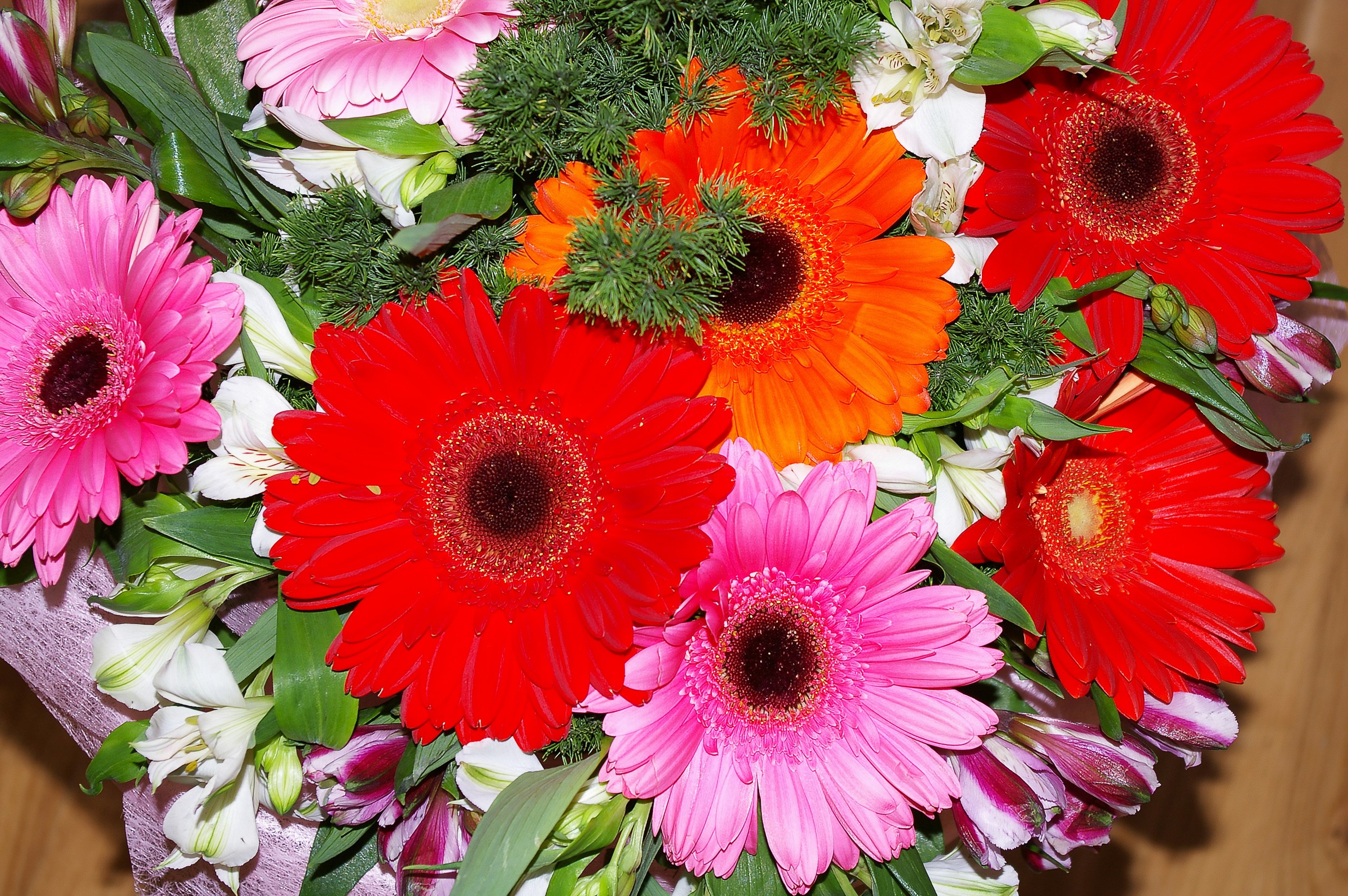 Gerbera Daisy Flower Bouquet HD Wallpaper