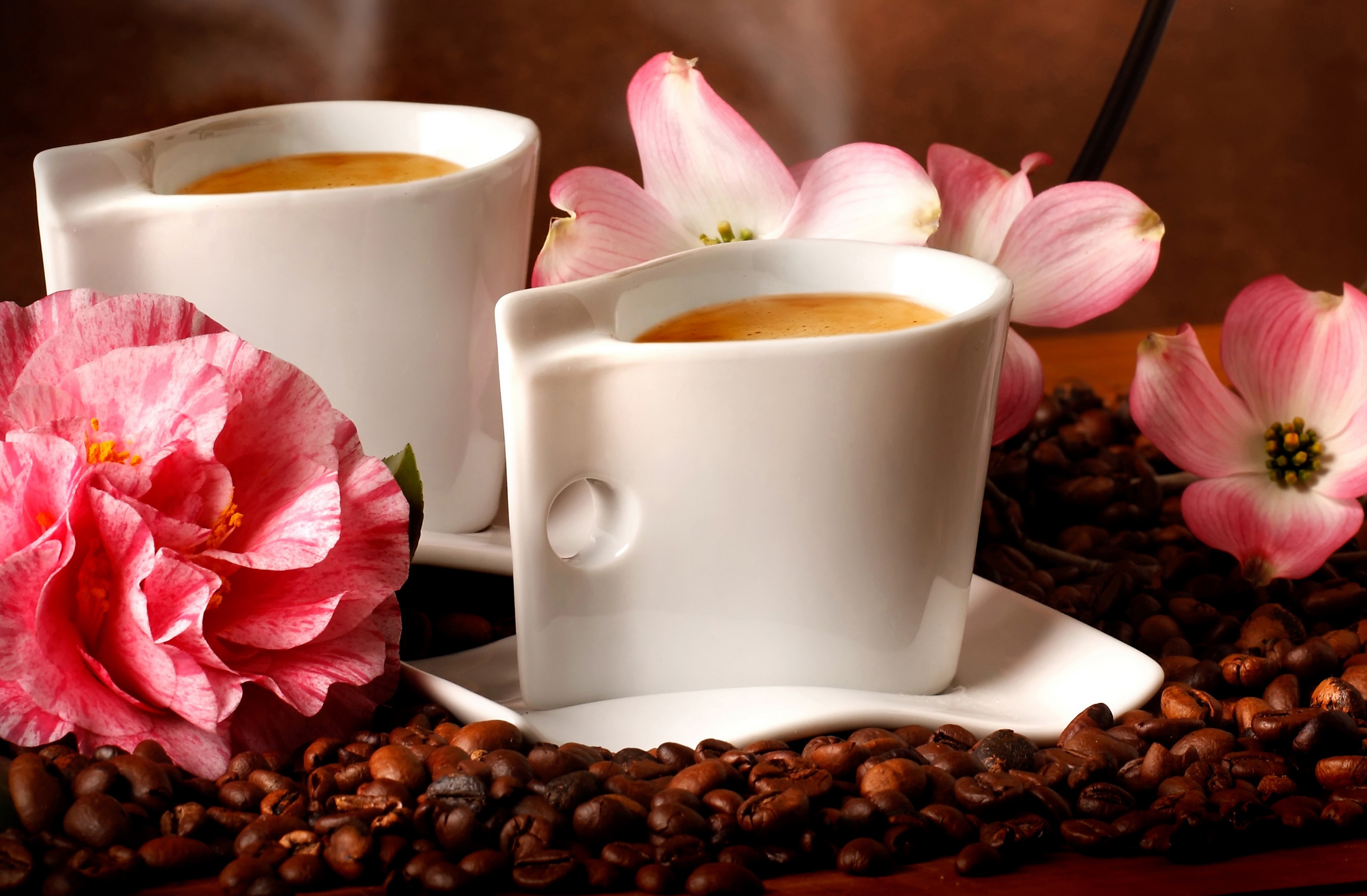 Two cups of coffee with flowers and coffee beans HD Wallpaper