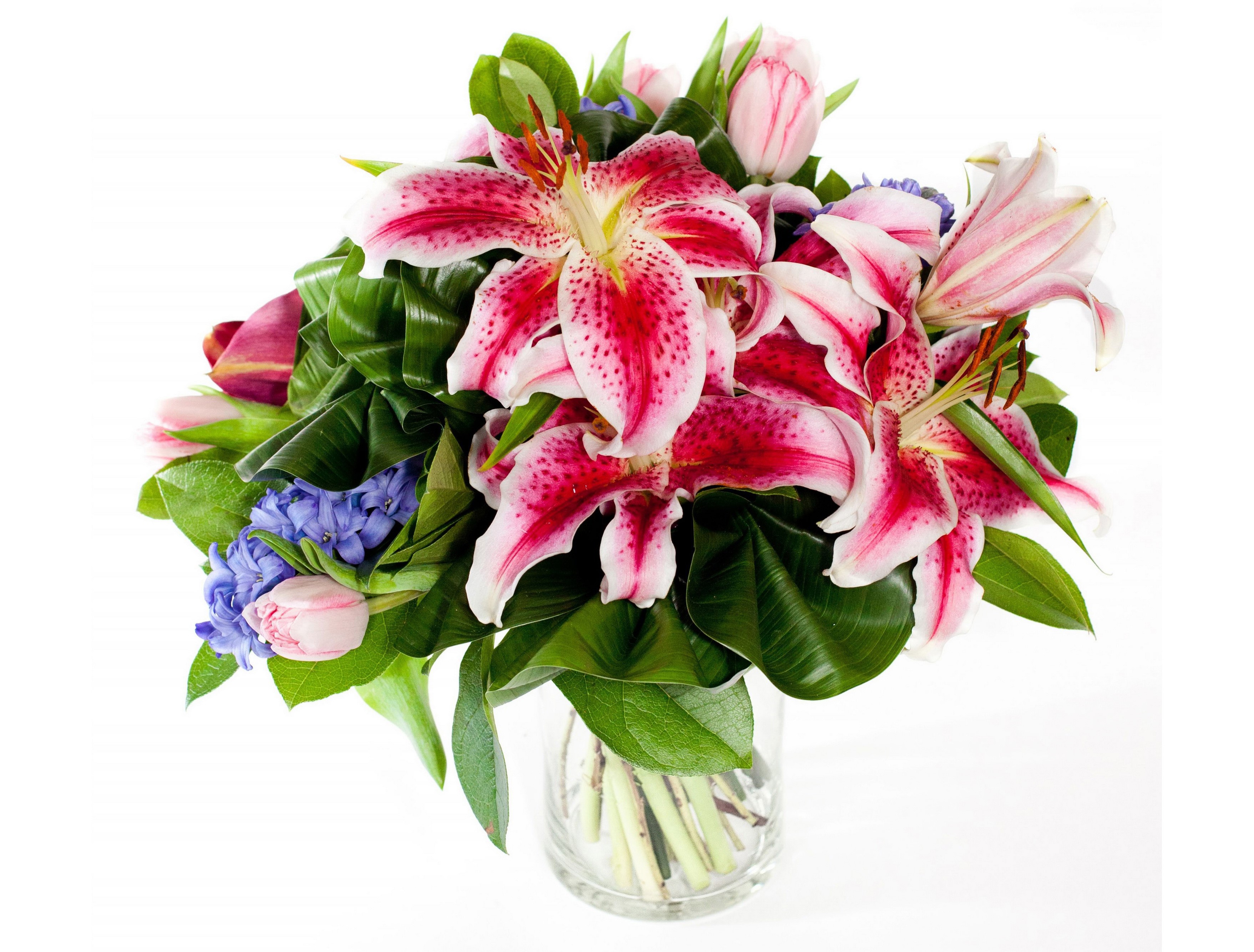 Bouquet of lilies, tulips, and hyacinths in a vase HD Wallpaper
