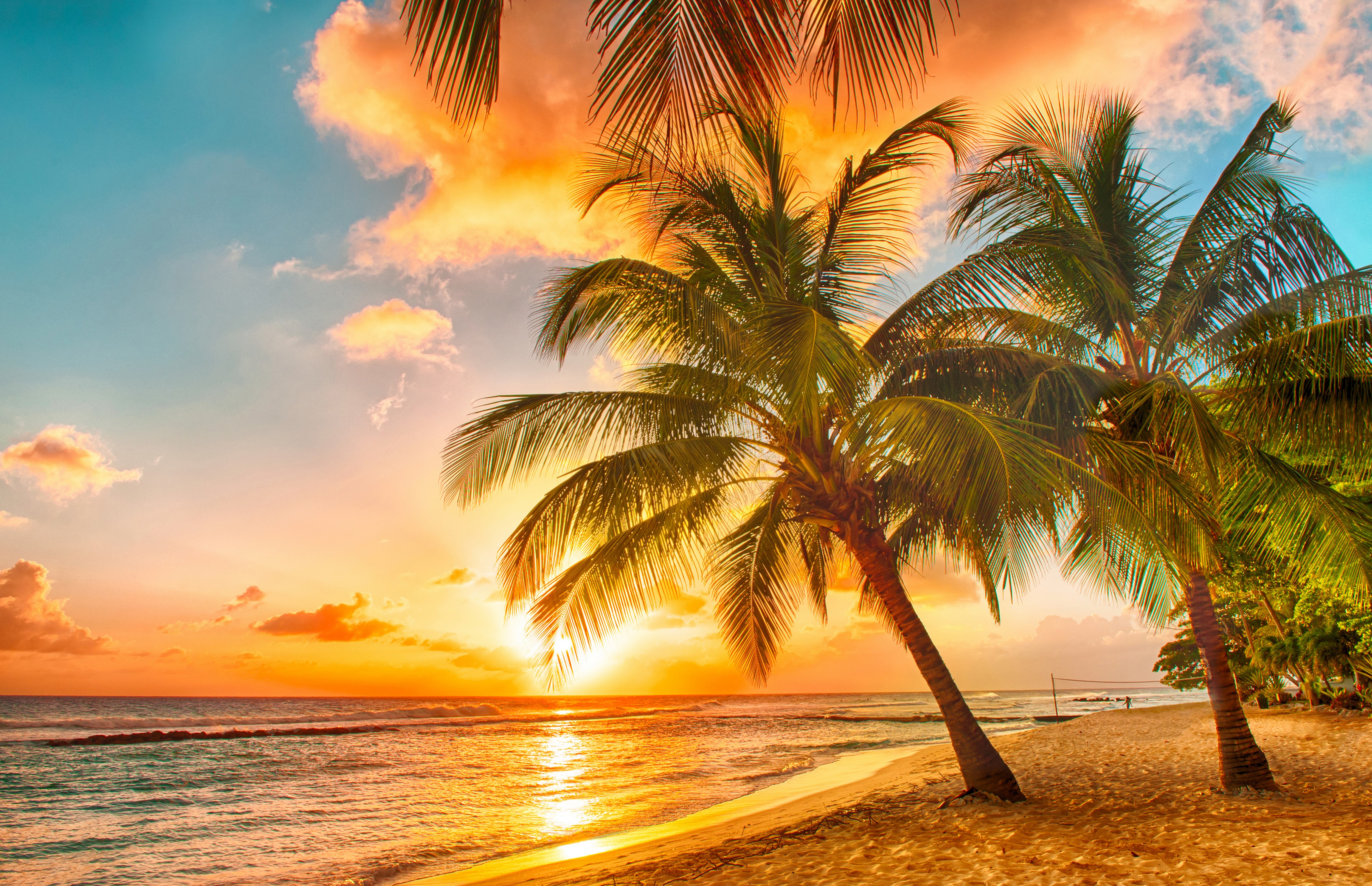 Sunset over tropical beach with palm trees HD Wallpaper