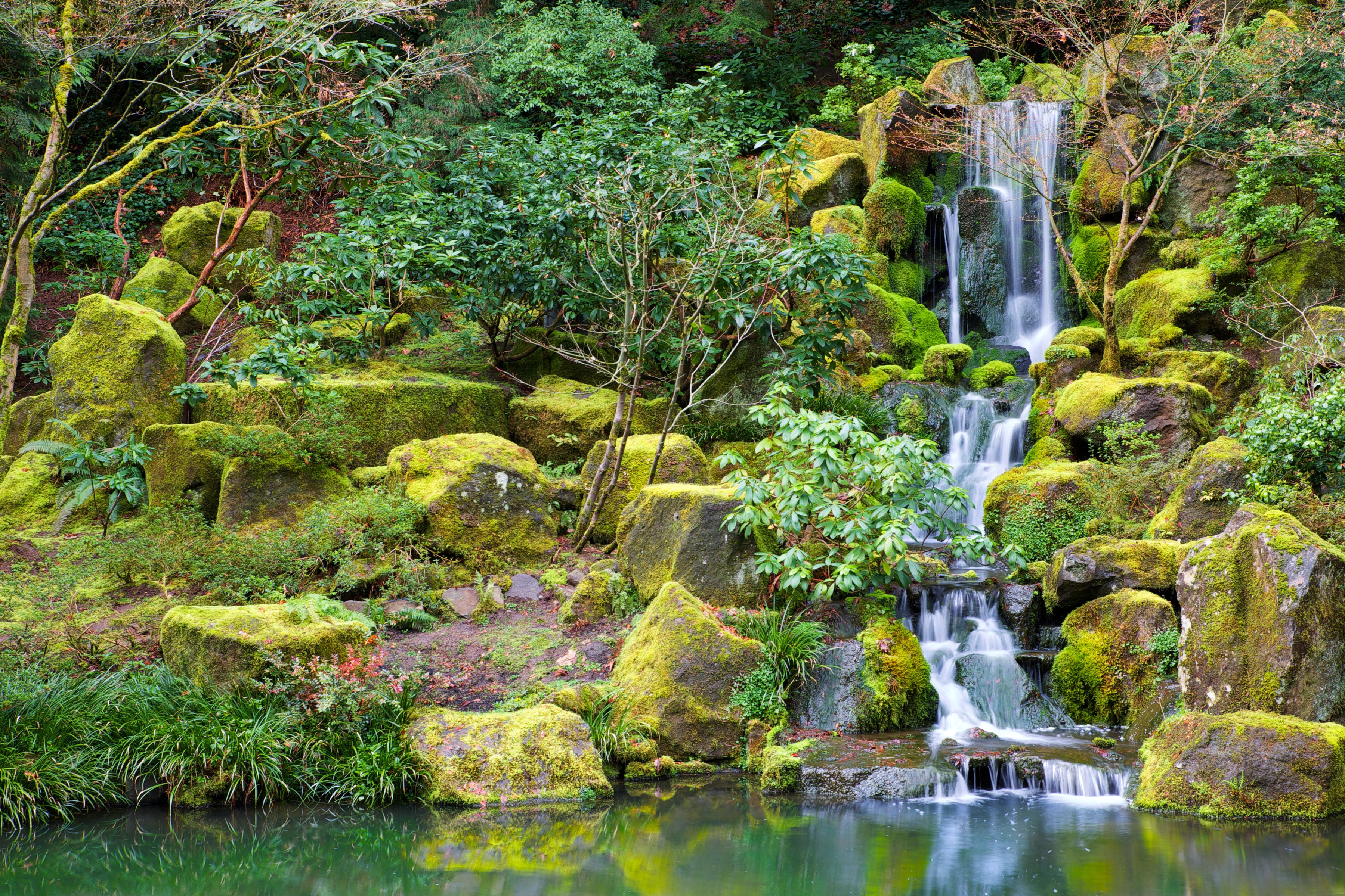 Mossy rocks and a waterfall in a garden HD Wallpaper