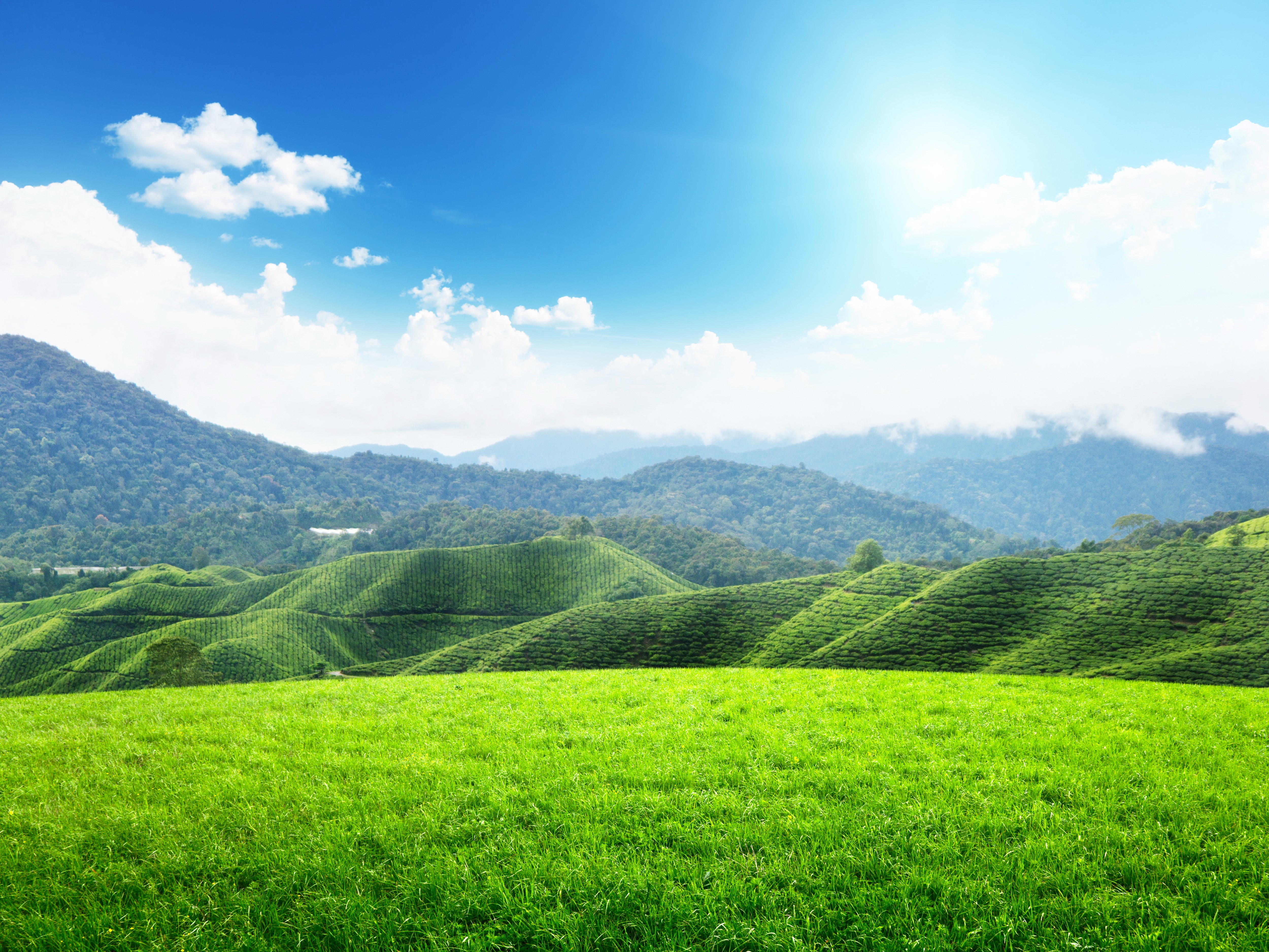 Rolling Green Hills and Mountains Under Blue Sky HD Wallpaper