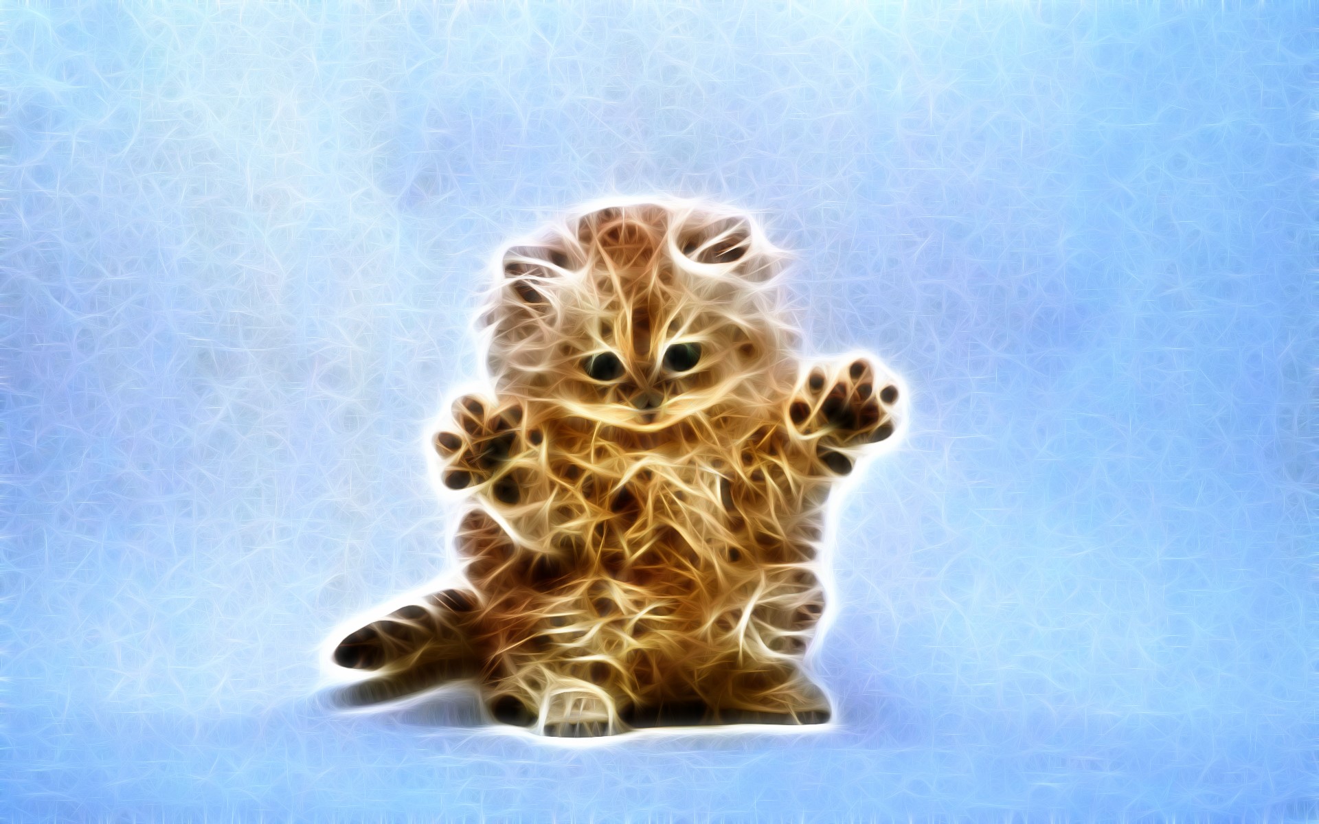A fluffy kitten with glowing outlines on a blue background HD Wallpaper