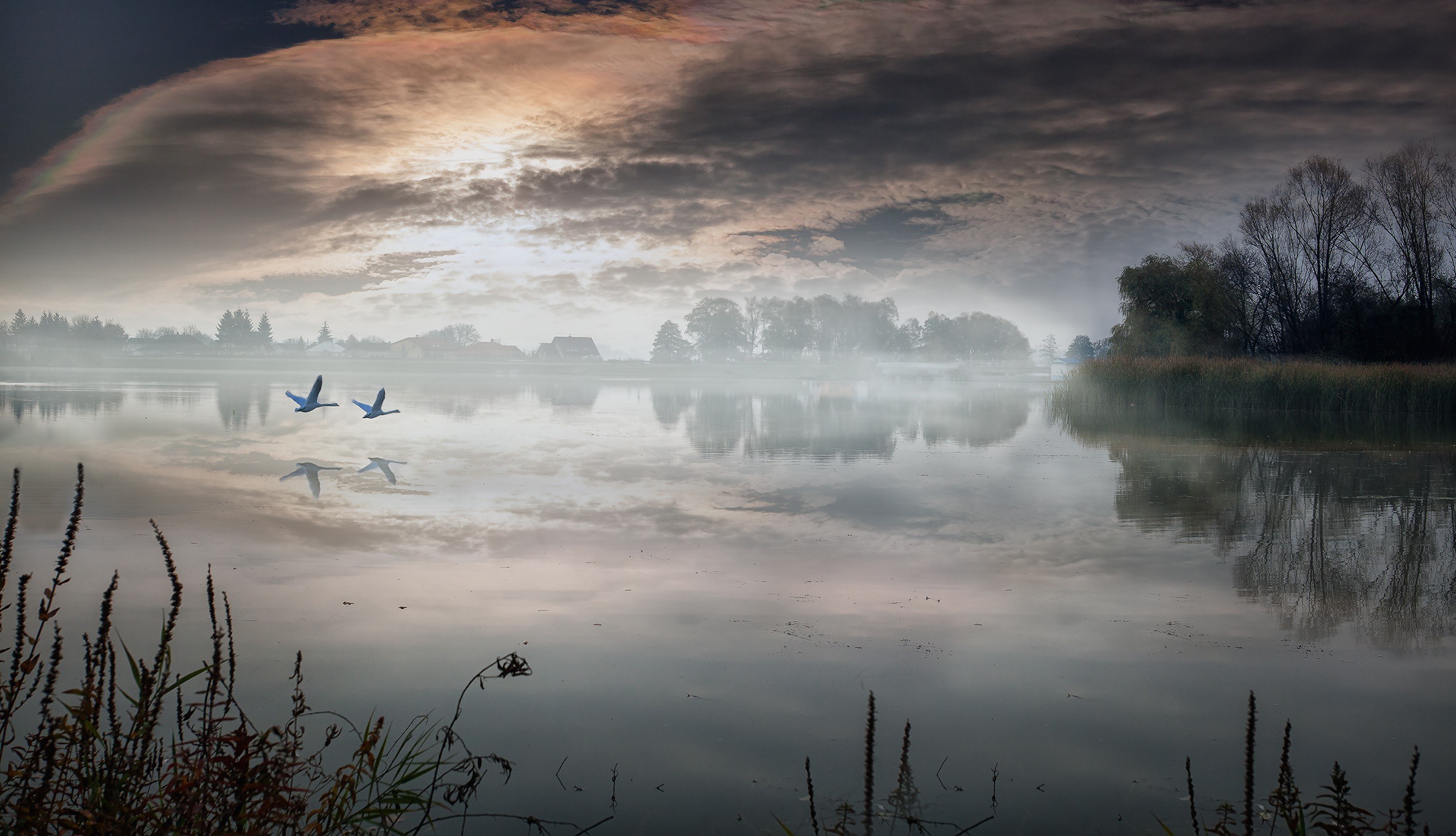 Geese flying over a misty lake at sunrise HD Wallpaper