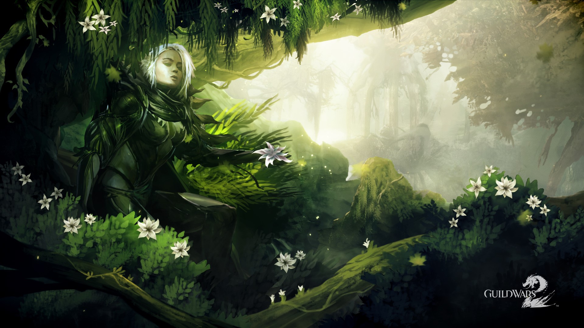 Sylvari warrior in a forest from Guild Wars 2 HD Wallpaper