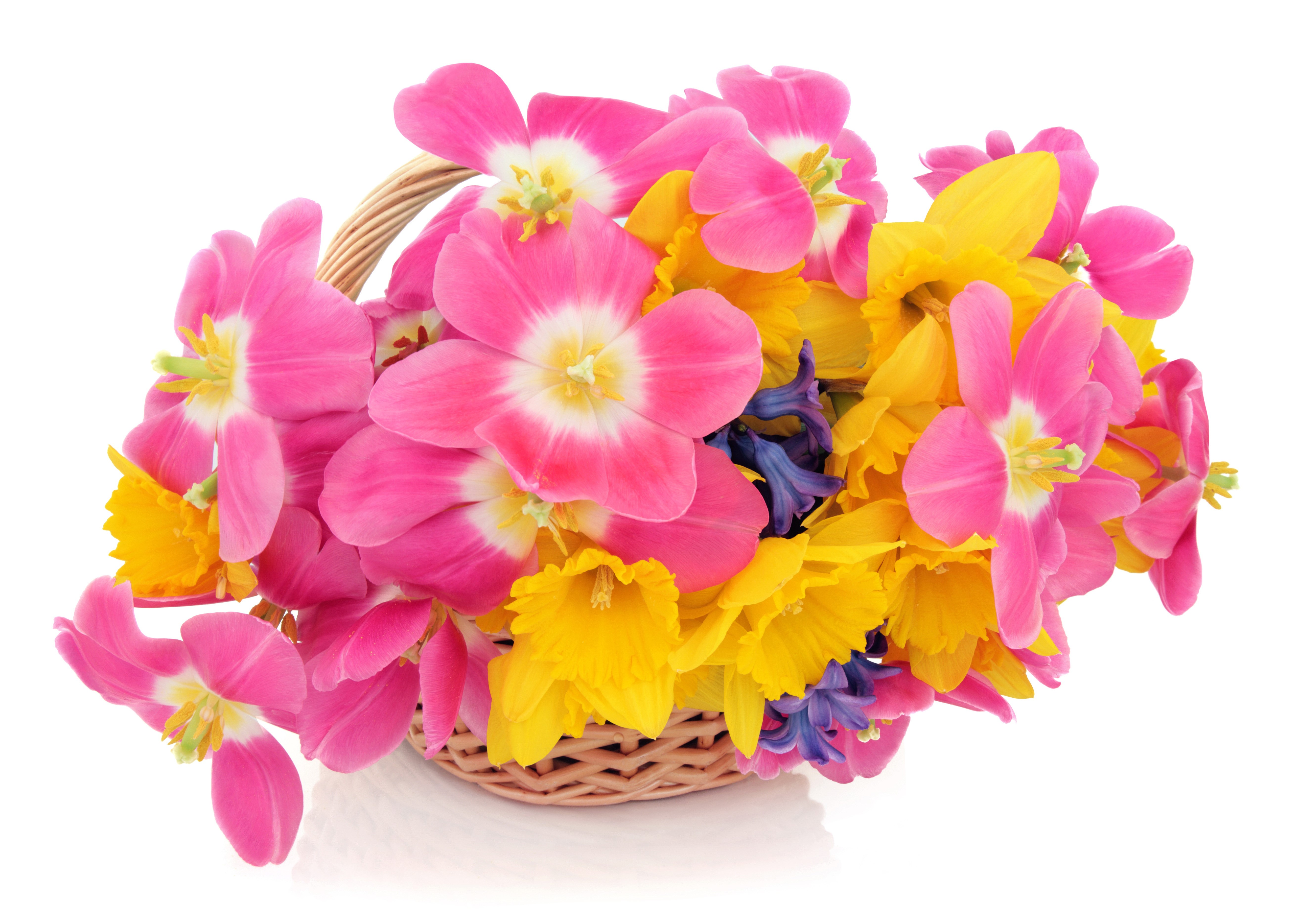 Colorful Basket of Tulips, Daffodils, and Hyacinths HD Wallpaper
