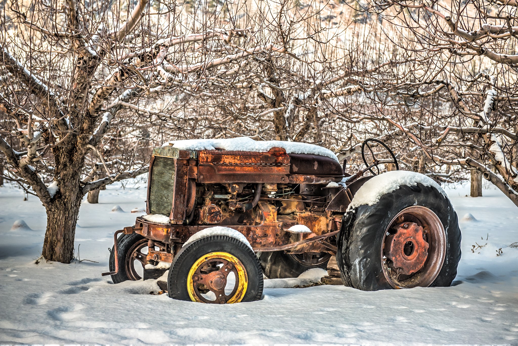 Rusty tractor in a snowy orchard HD Wallpaper