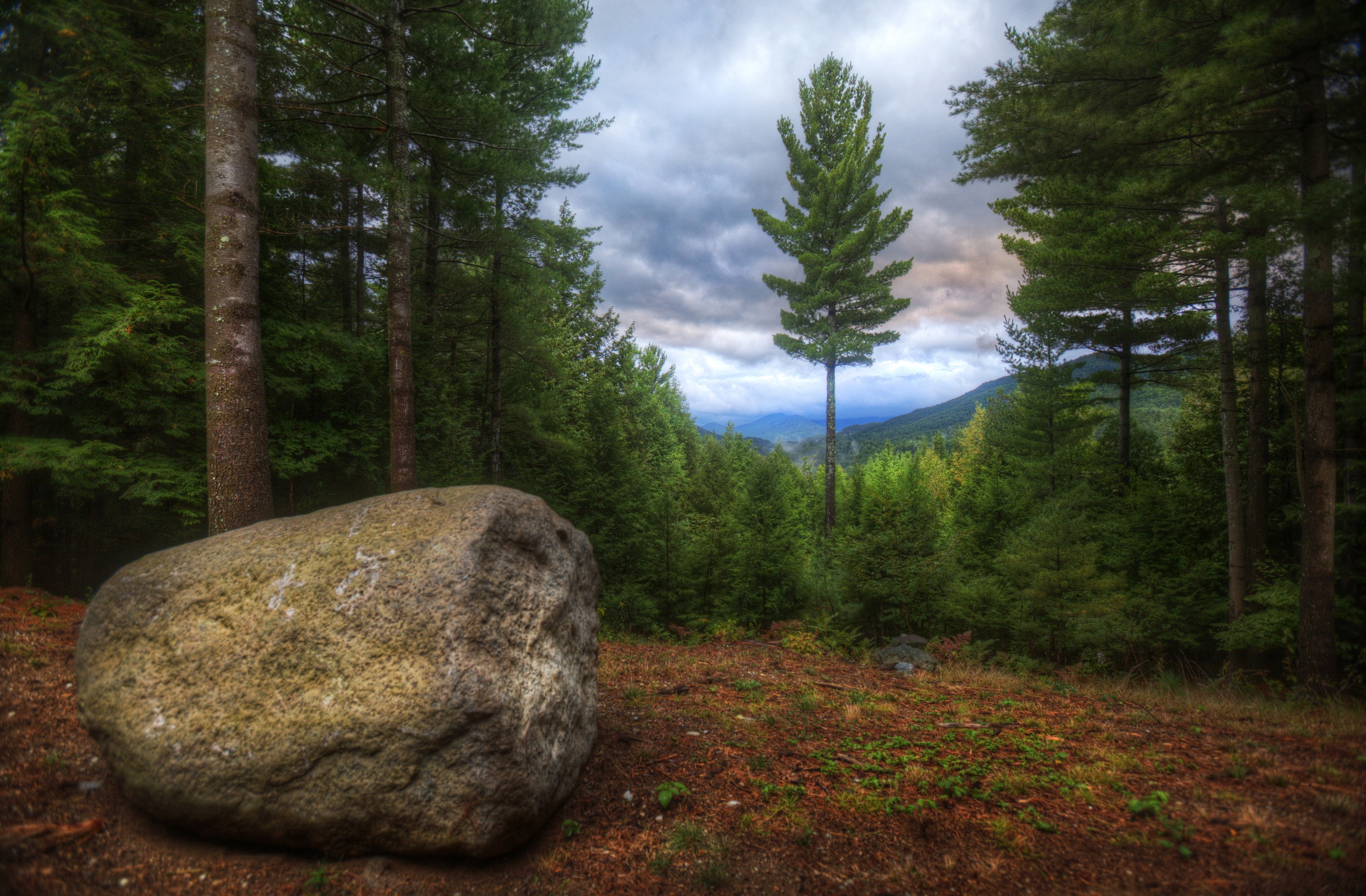 Large boulder in a forest with mountains in the background HD Wallpaper