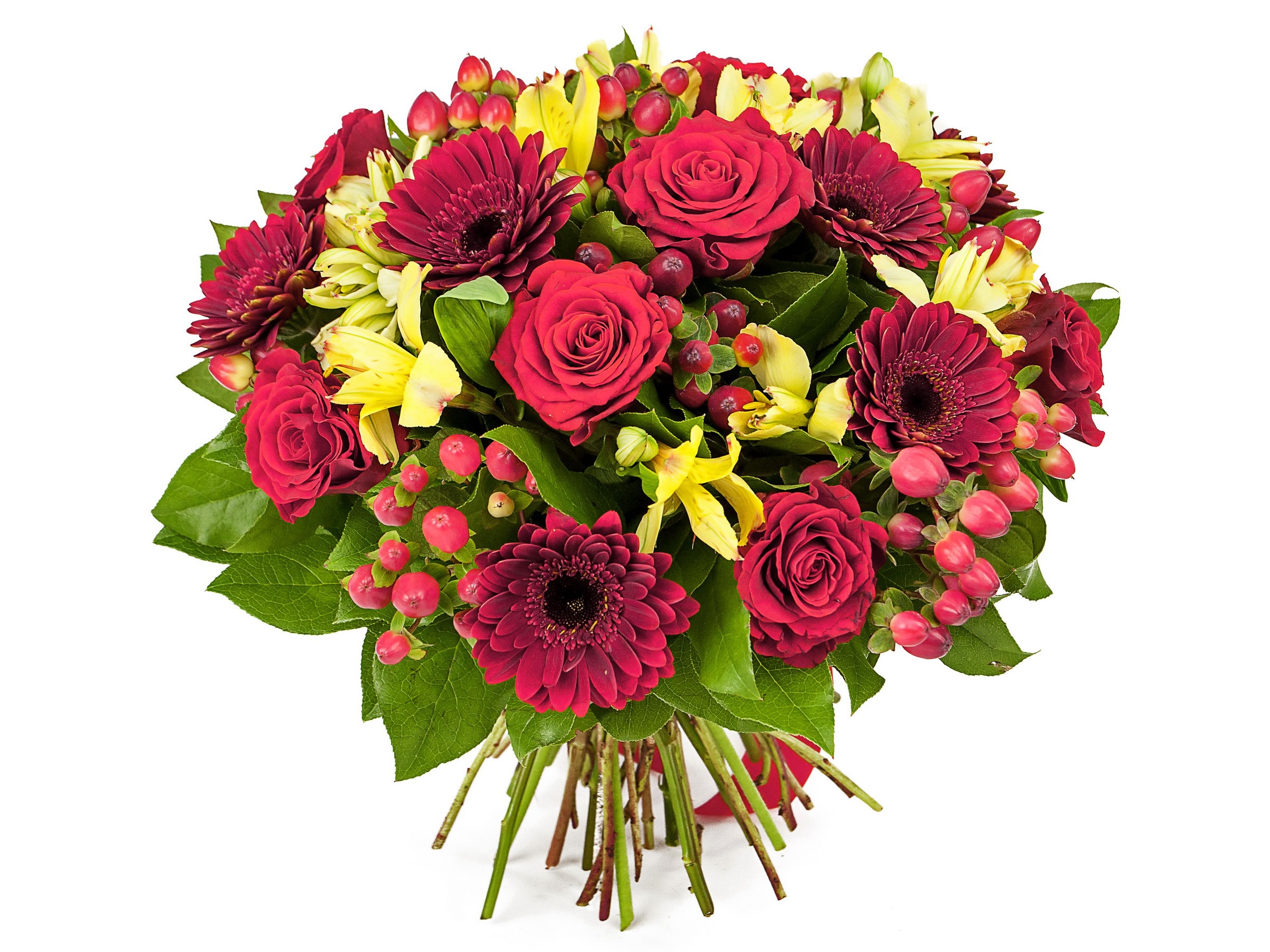 Red Roses and Burgundy Gerberas Flower Bouquet HD Wallpaper