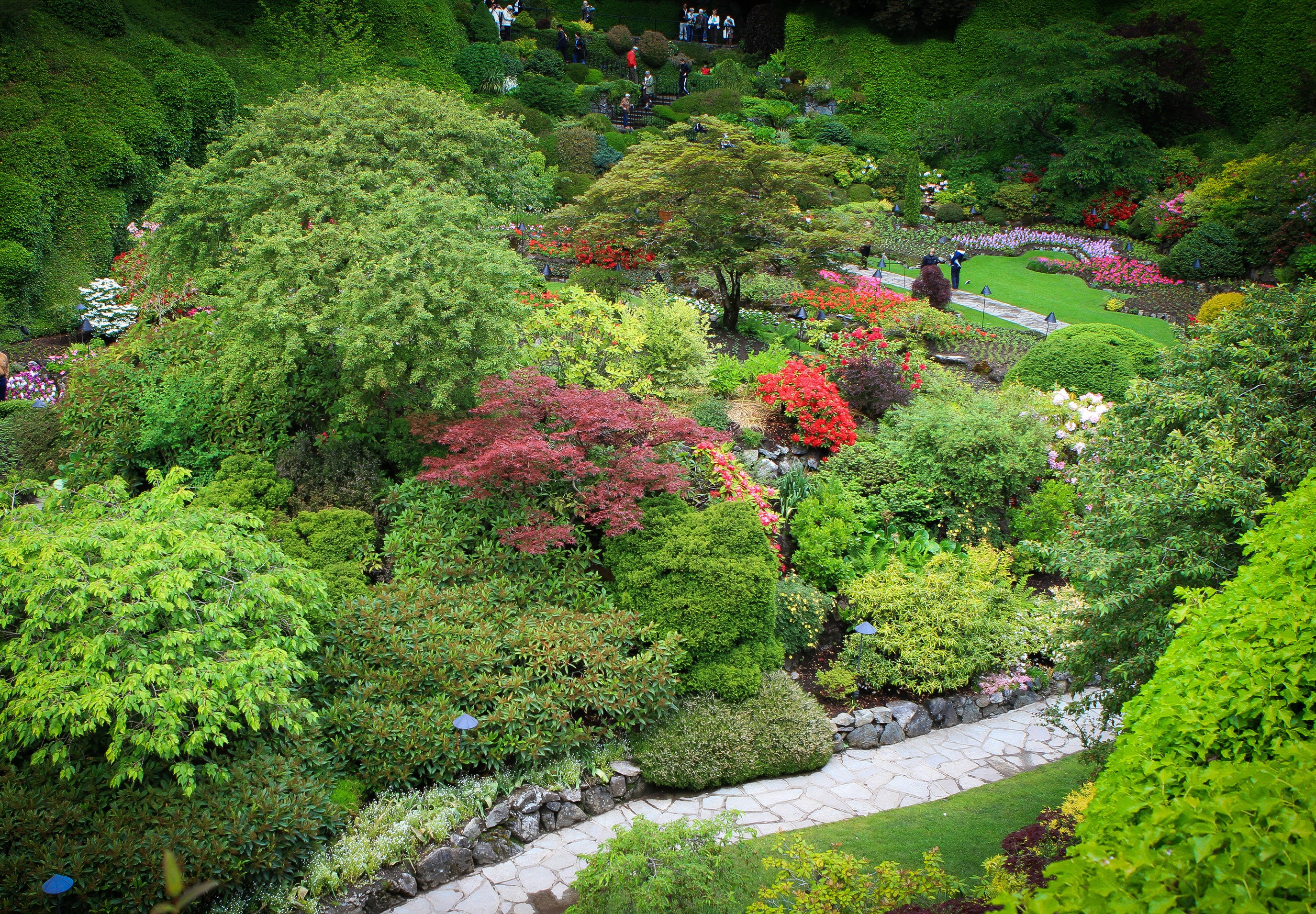Butchart Gardens in Canada with colorful flowers and trees HD Wallpaper