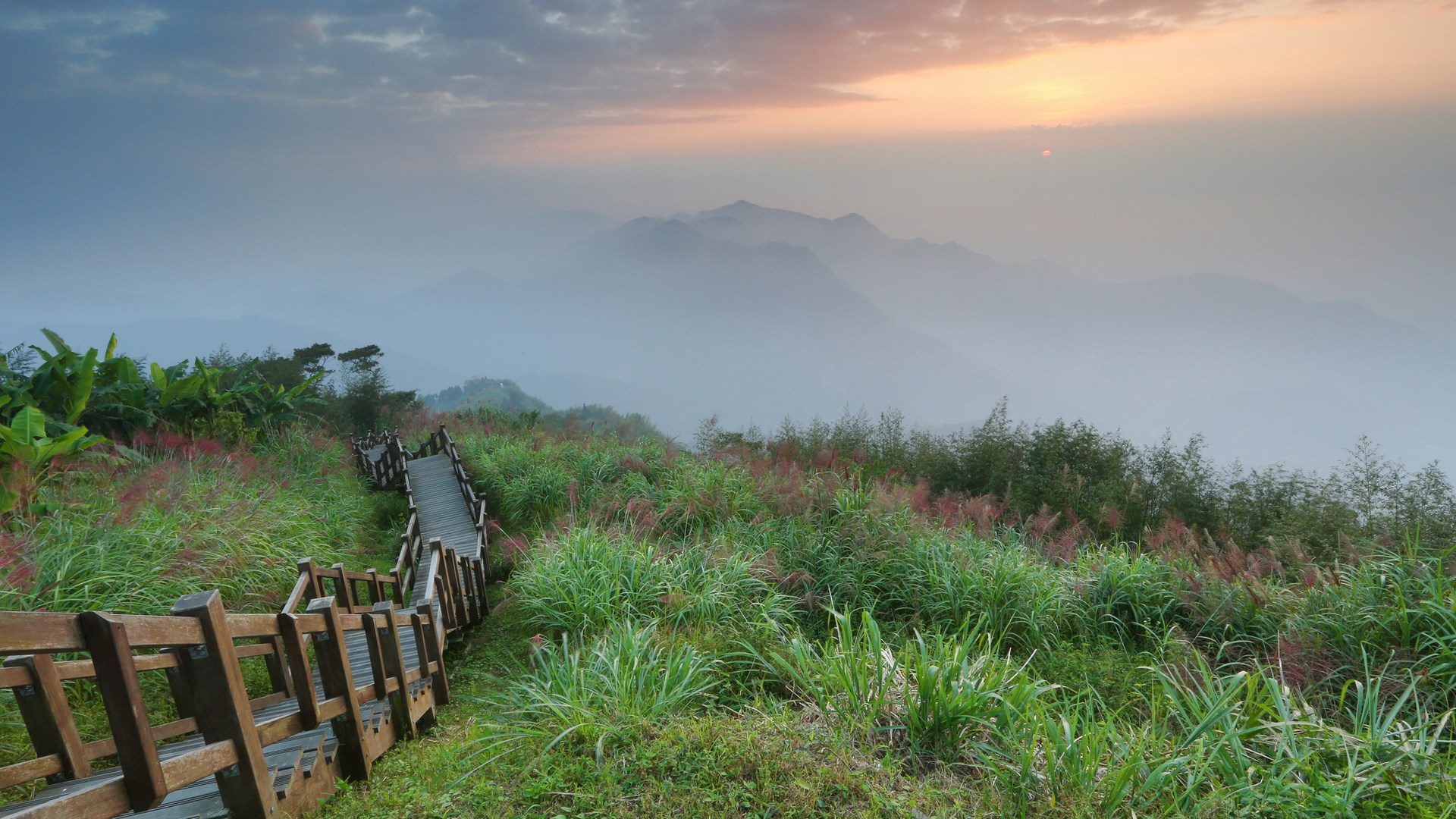 Wooden stairs leading through grassy mountains at sunrise HD Wallpaper