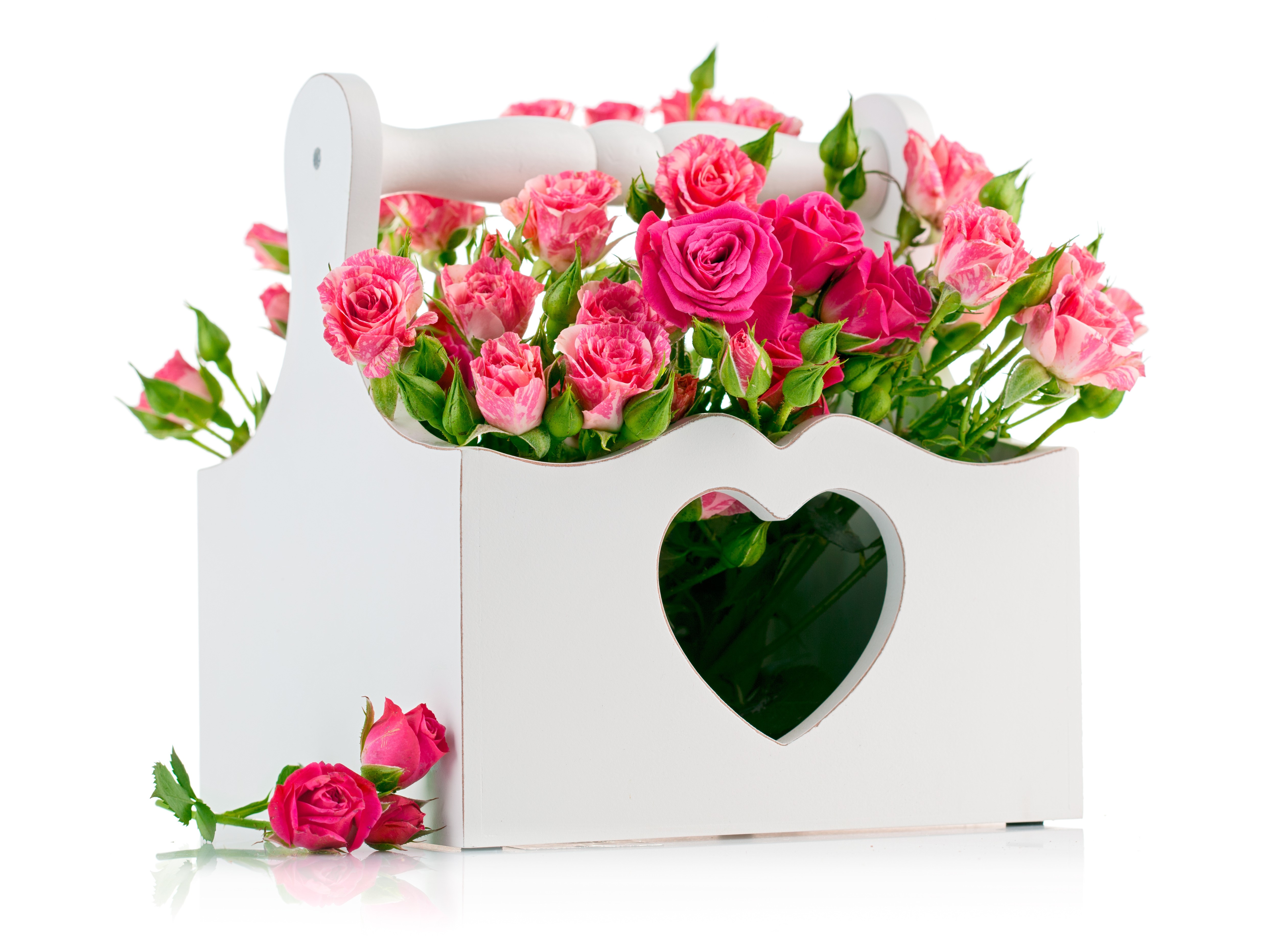 Pink Roses in a White Wooden Heart Basket HD Wallpaper