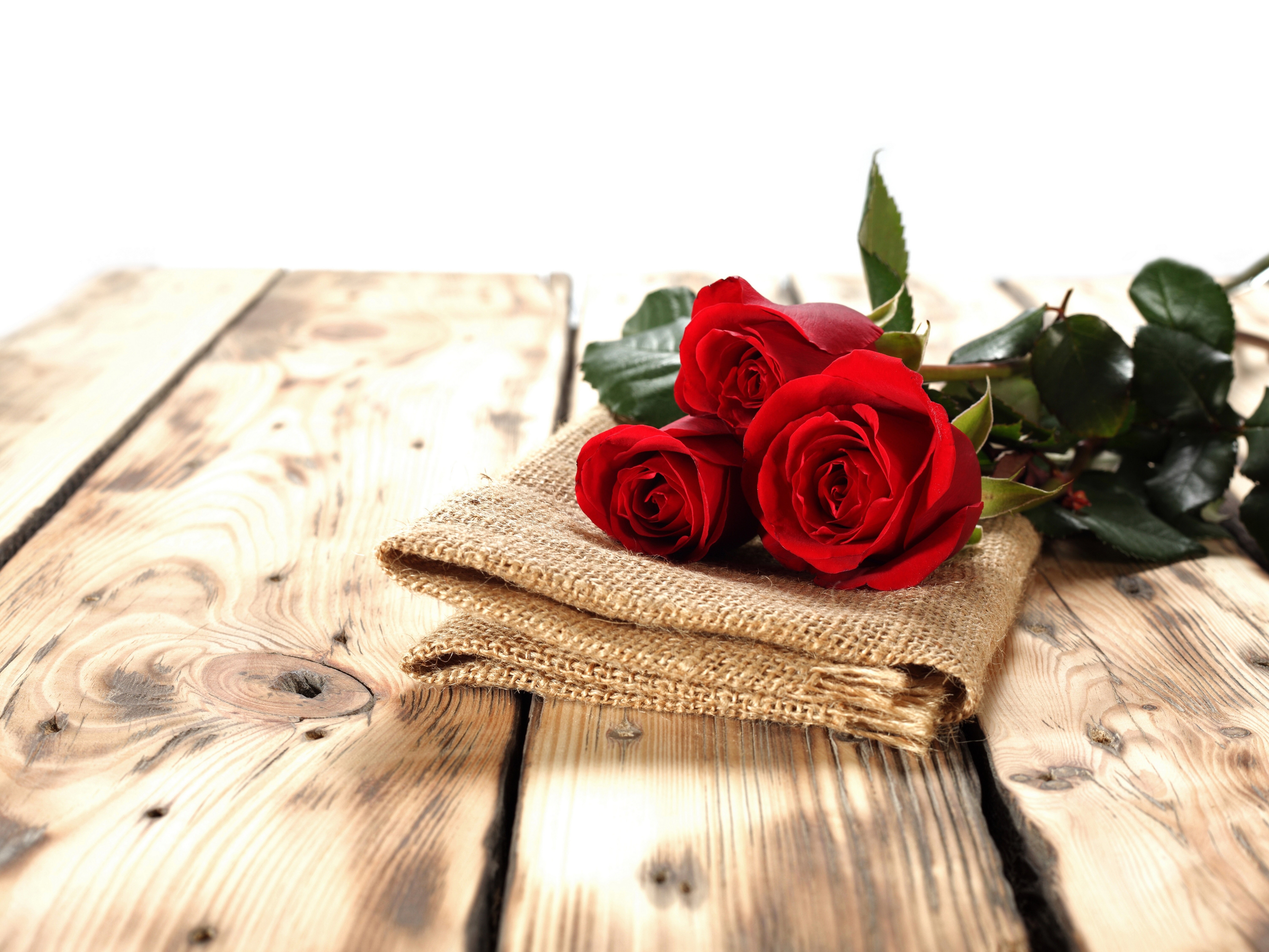 Red Roses on Burlap and Wood HD Wallpaper