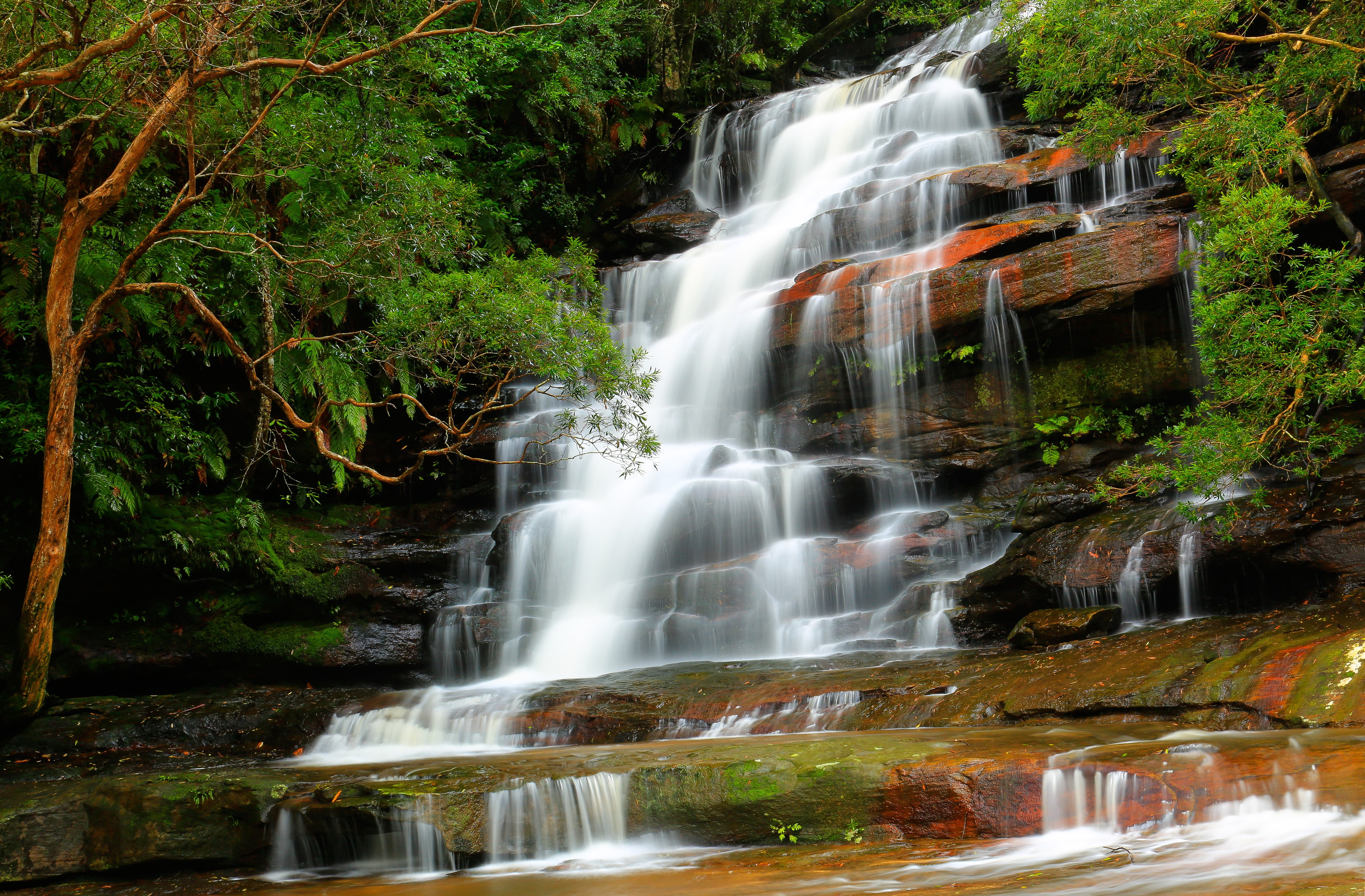 Waterfall in a forest in Australia HD Wallpaper