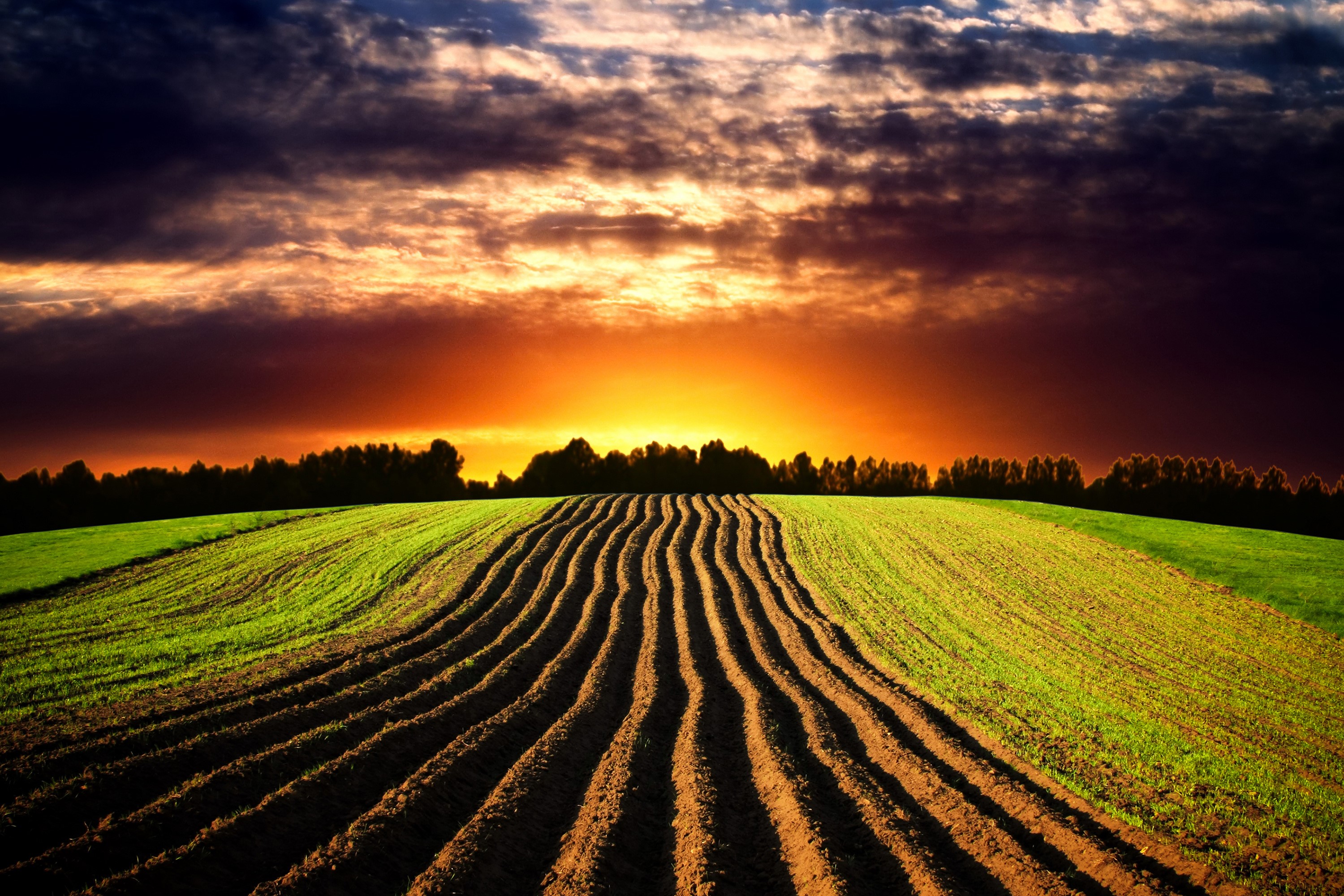 Furrows in a field at sunset HD Wallpaper