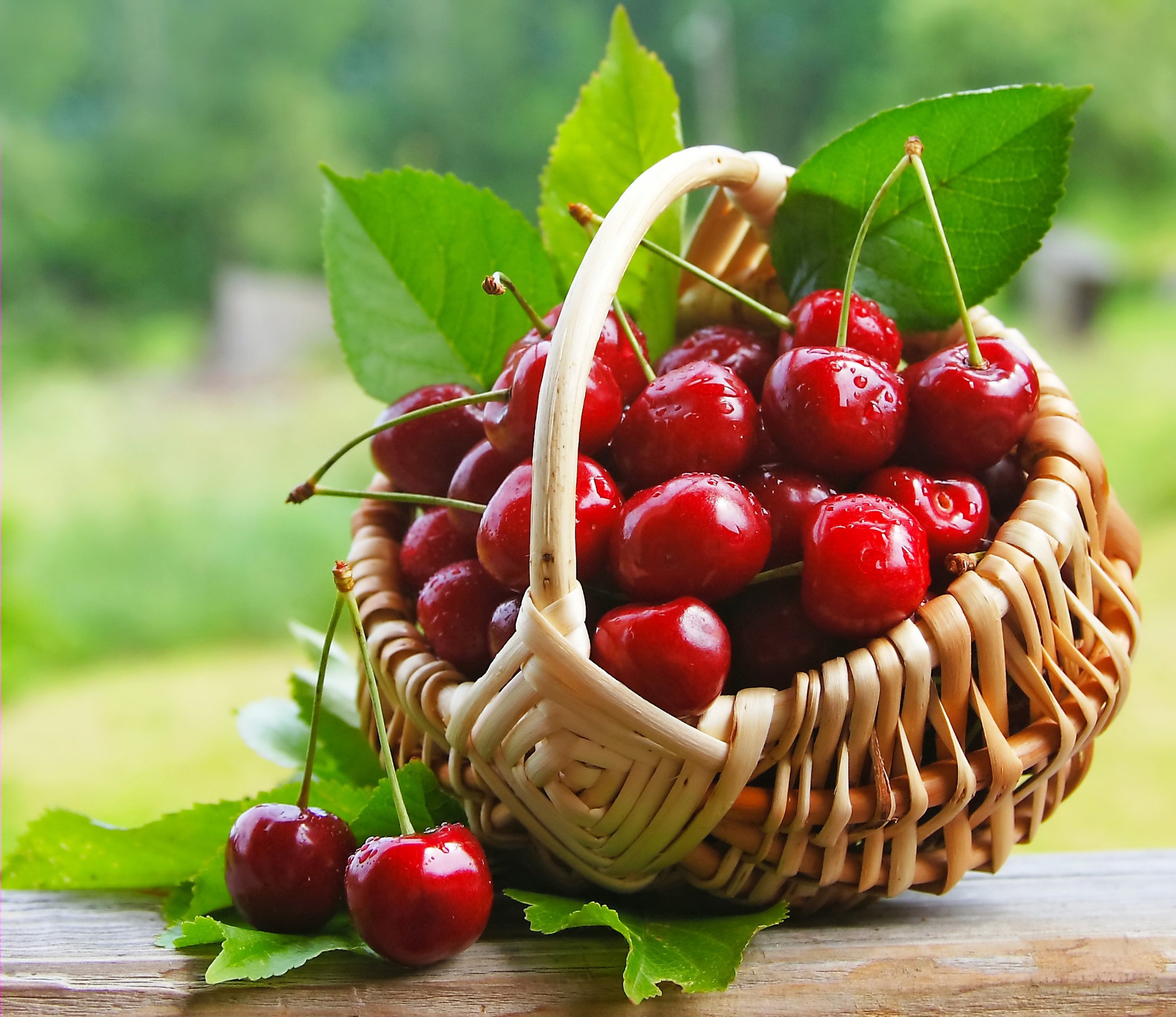 Basket of fresh cherries with leaves HD Wallpaper