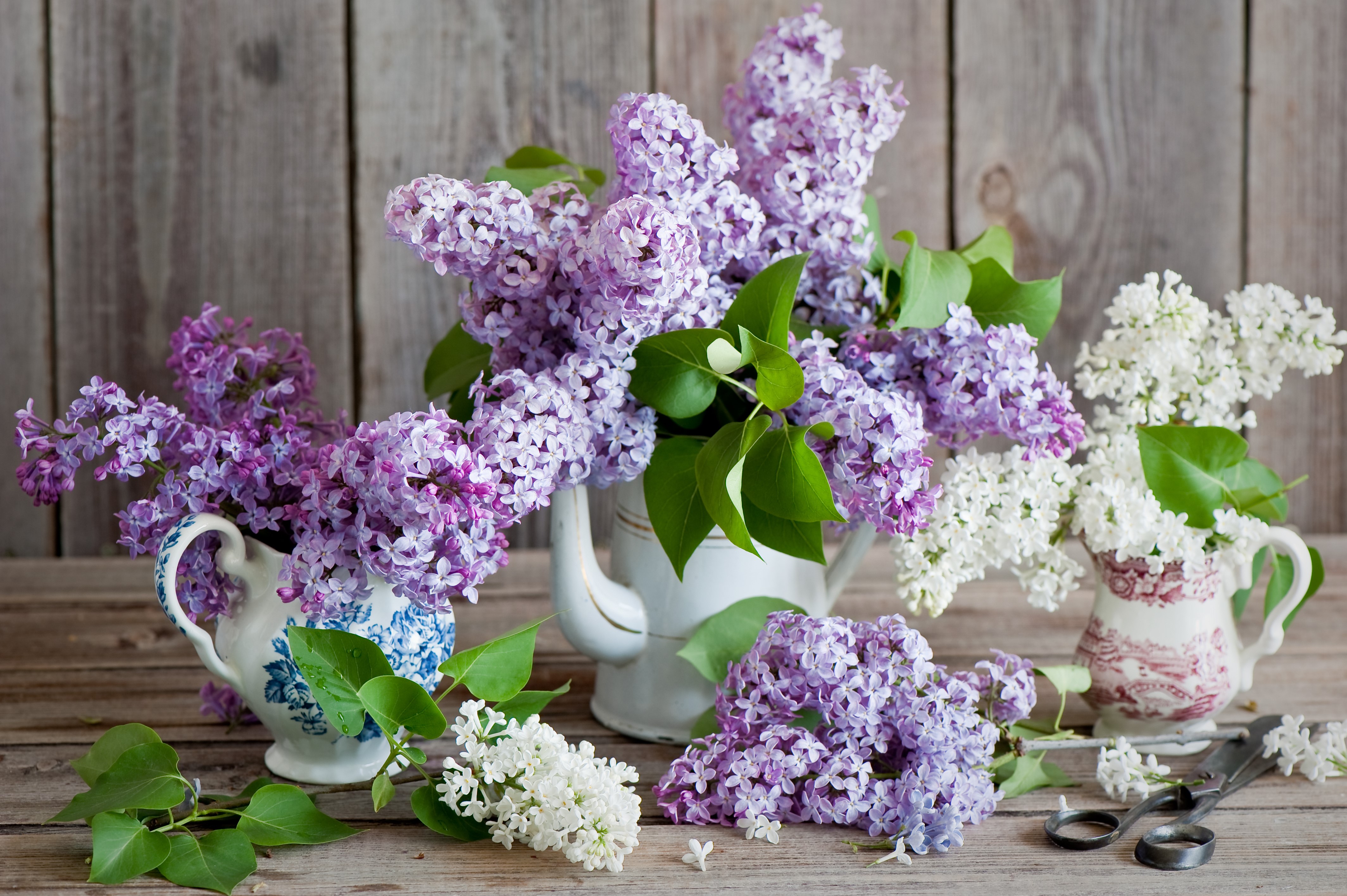 Lilac flowers in vases on a wooden table HD Wallpaper
