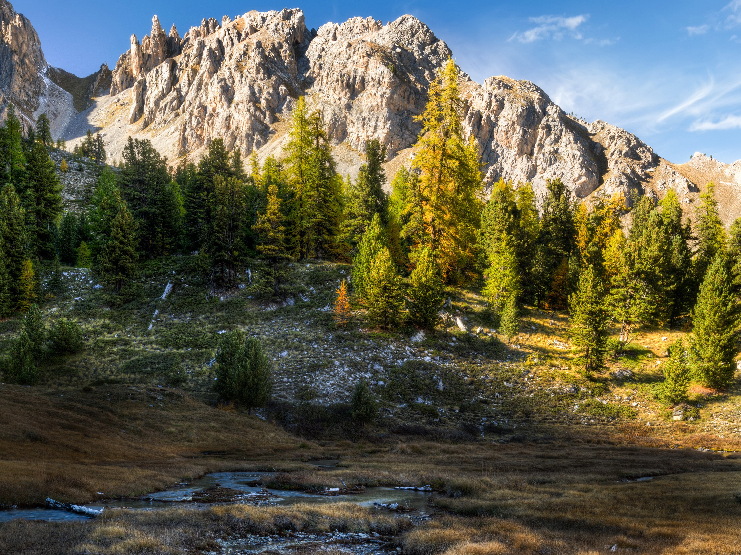 Mountain landscape with trees and stream HD Wallpaper