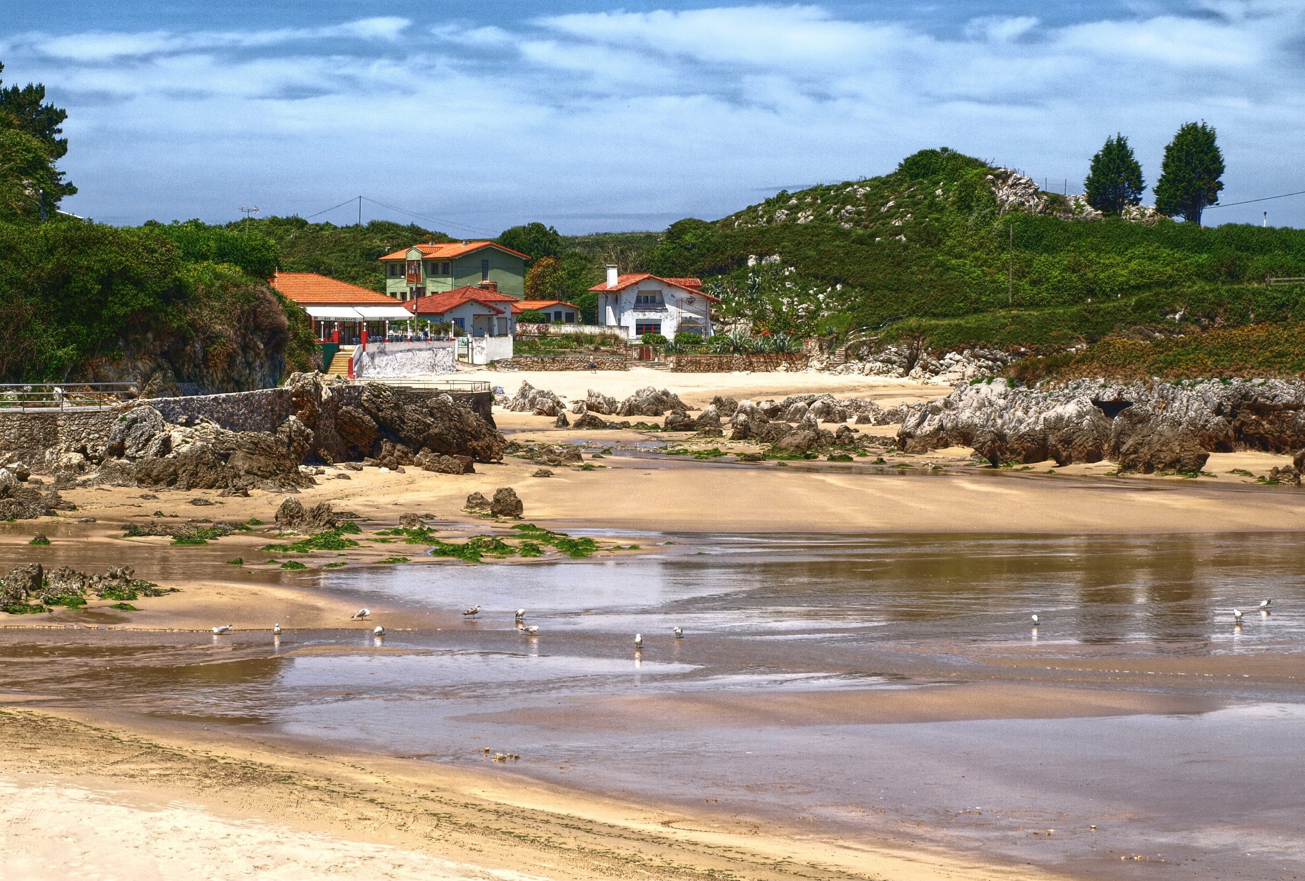 Houses on the coast in Celorio, Spain HD Wallpaper