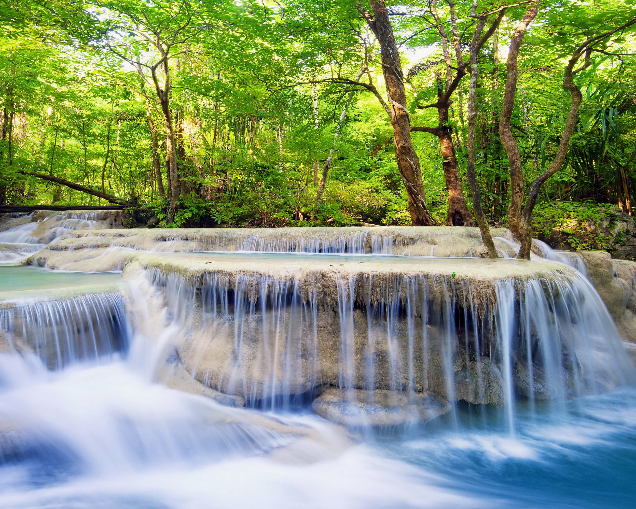 Tiered waterfall in a lush green forest HD Wallpaper