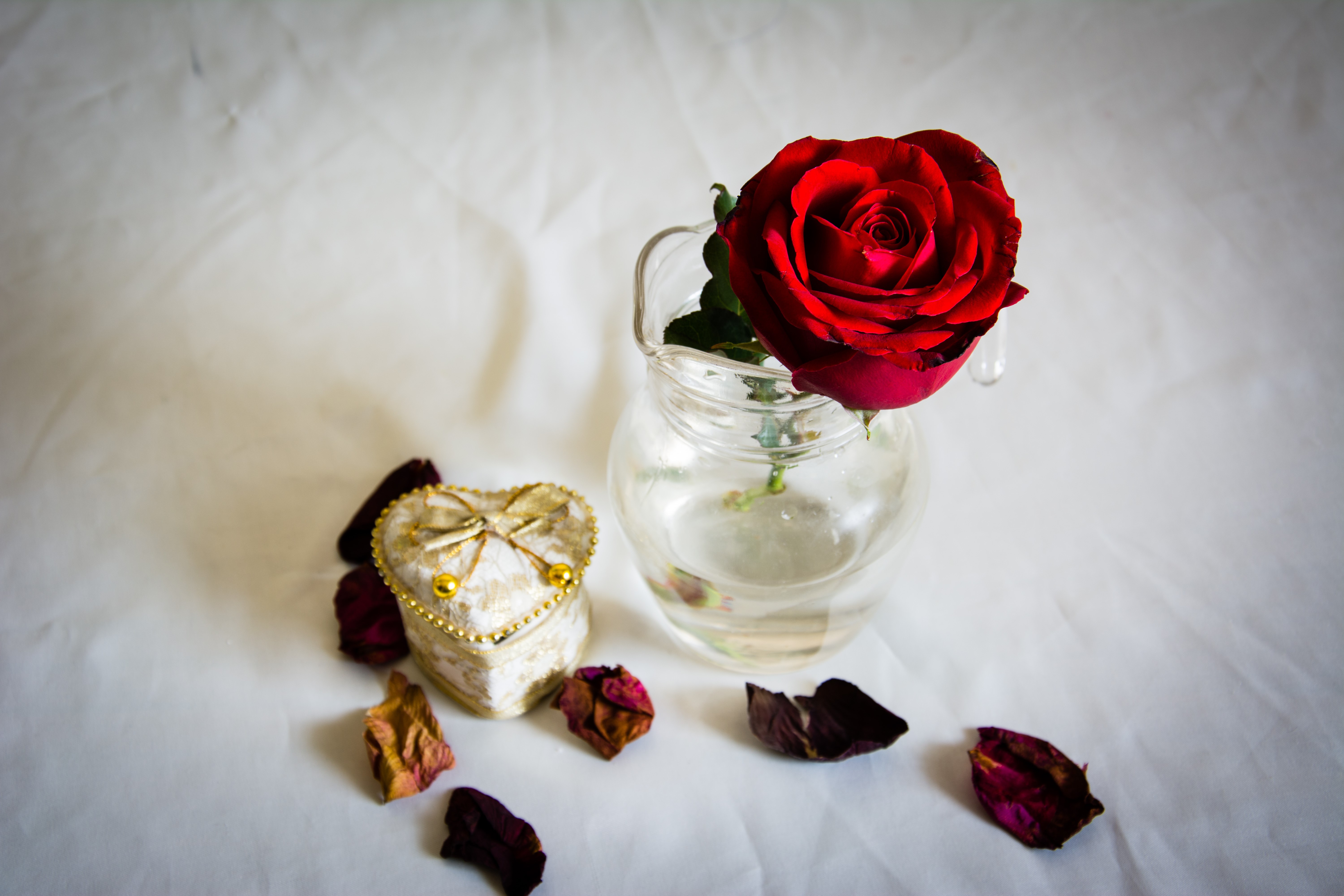 Red Rose in a Glass Pitcher with Heart-Shaped Box HD Wallpaper